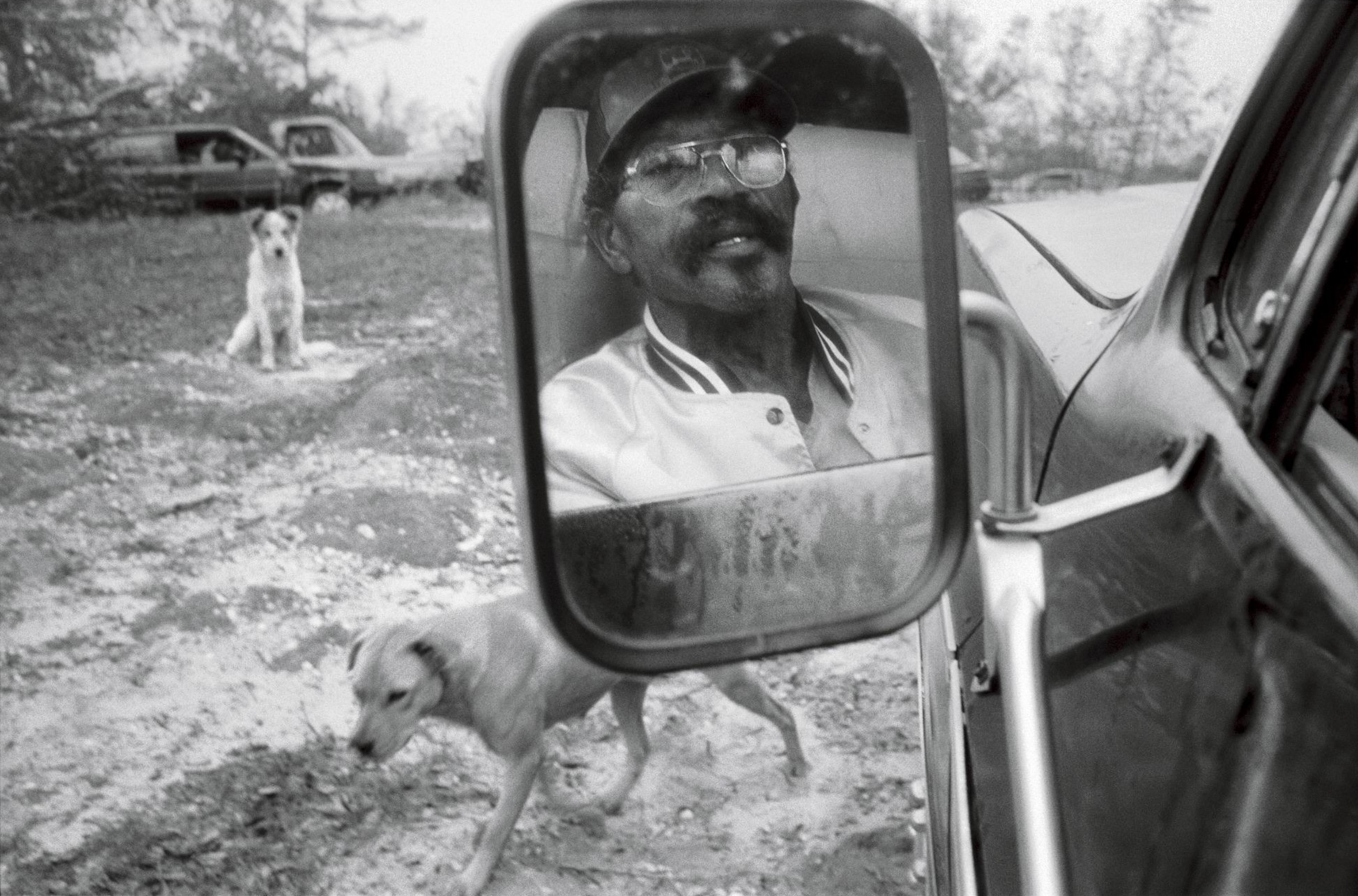Reflection of a man sitting in a truck near two dogs.