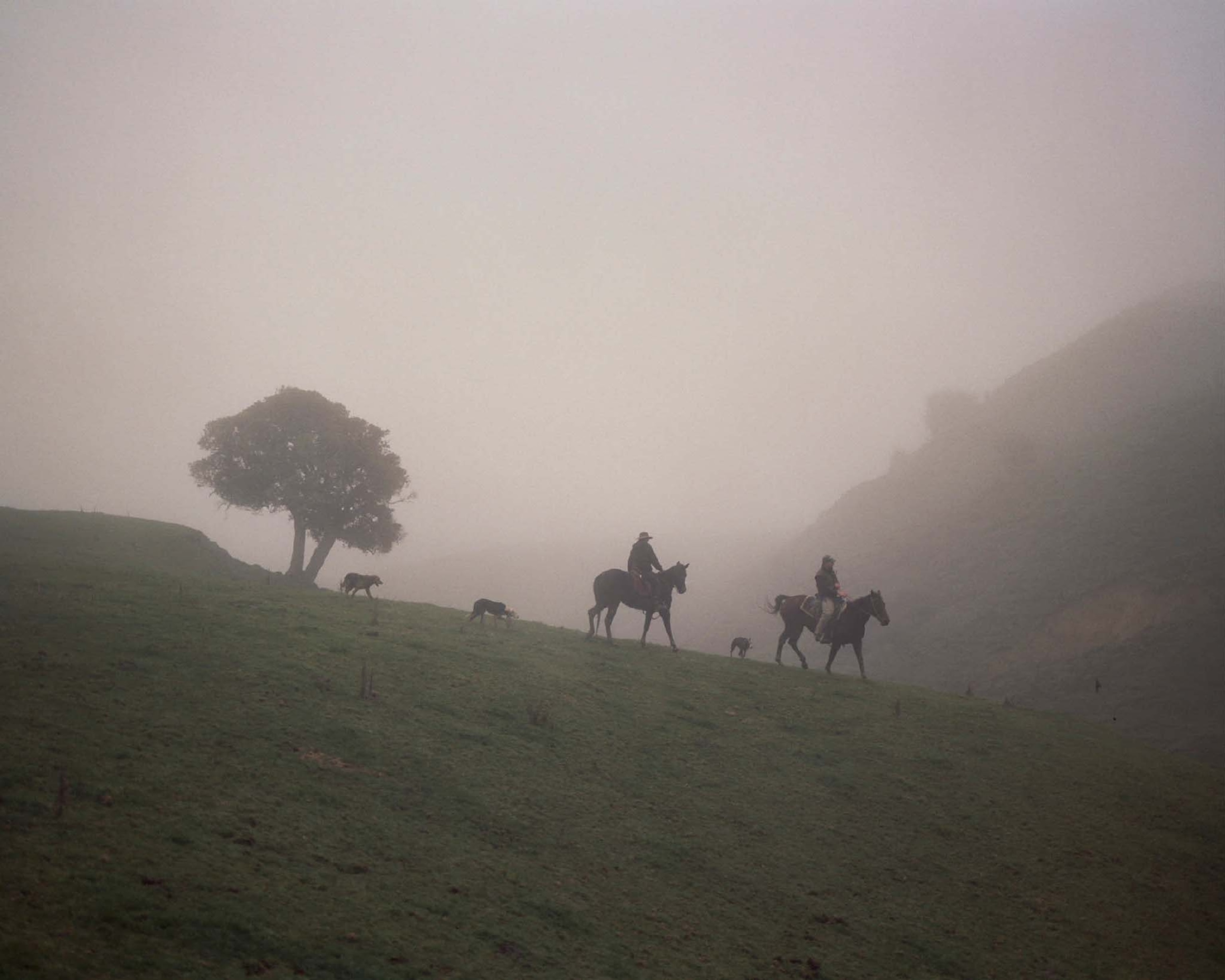 Wanganui river and the Maori people who live nearby