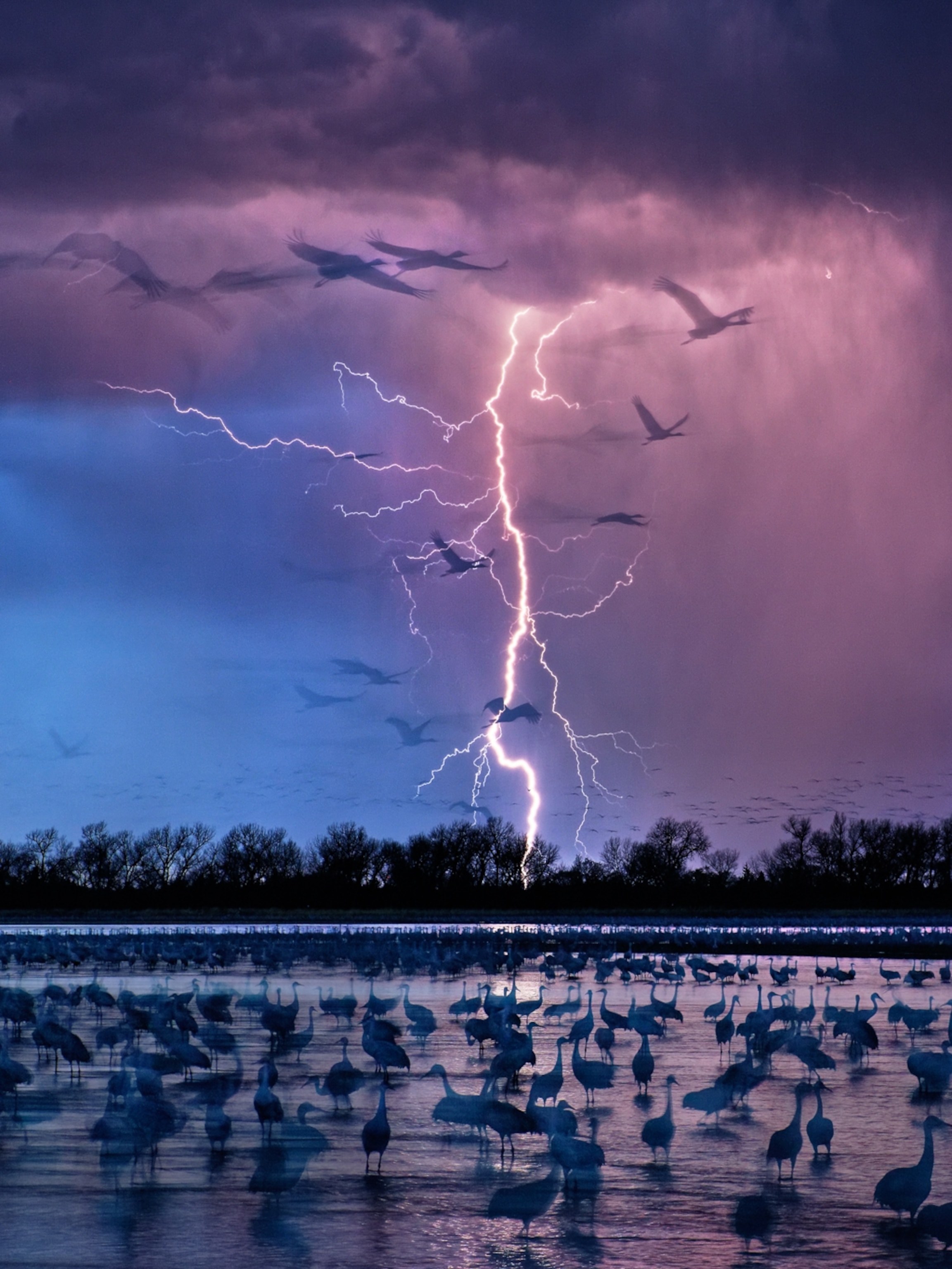 Ball lightning Wikipedia