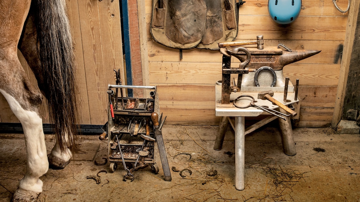 To make horseshoes, farriers use these tools