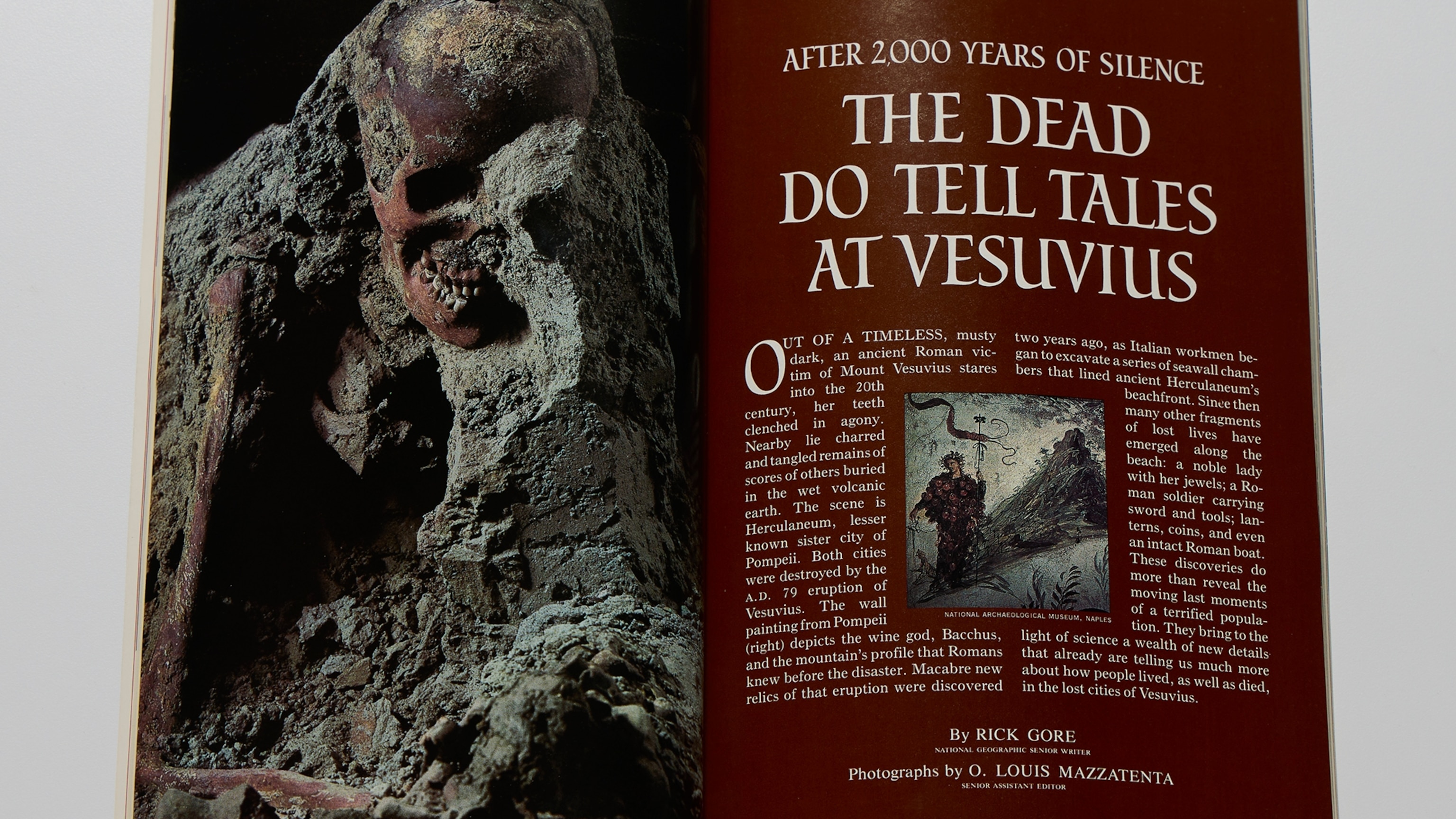 ‘Who says dead men don’t talk?’: Uncovering Herculaneum’s haunting final moments