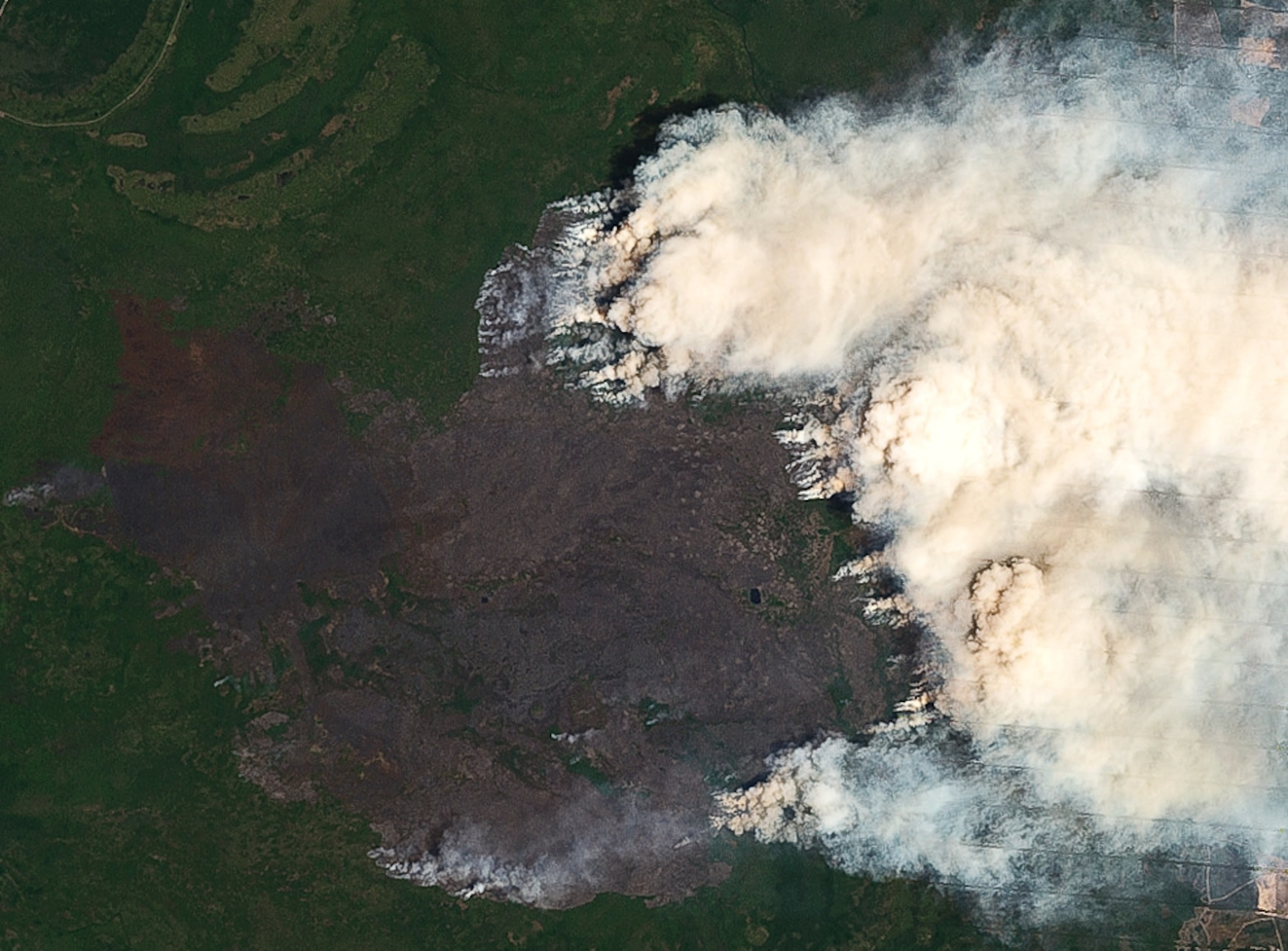 Satellite picture of a wildfire in Georgia -- for the space pictures of the week gallery