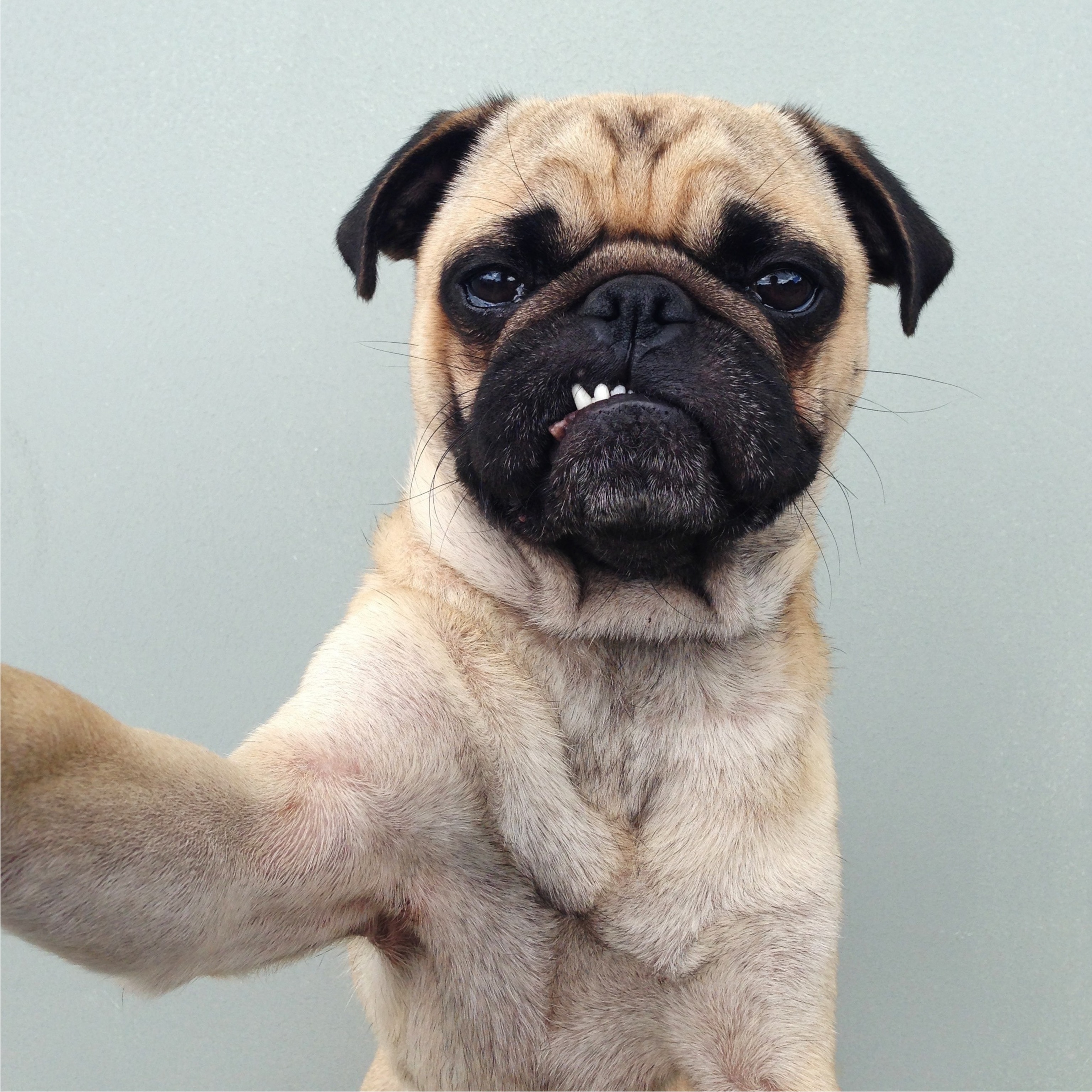 "This photo captures Norms quirky personality which makes it one of my favorites."