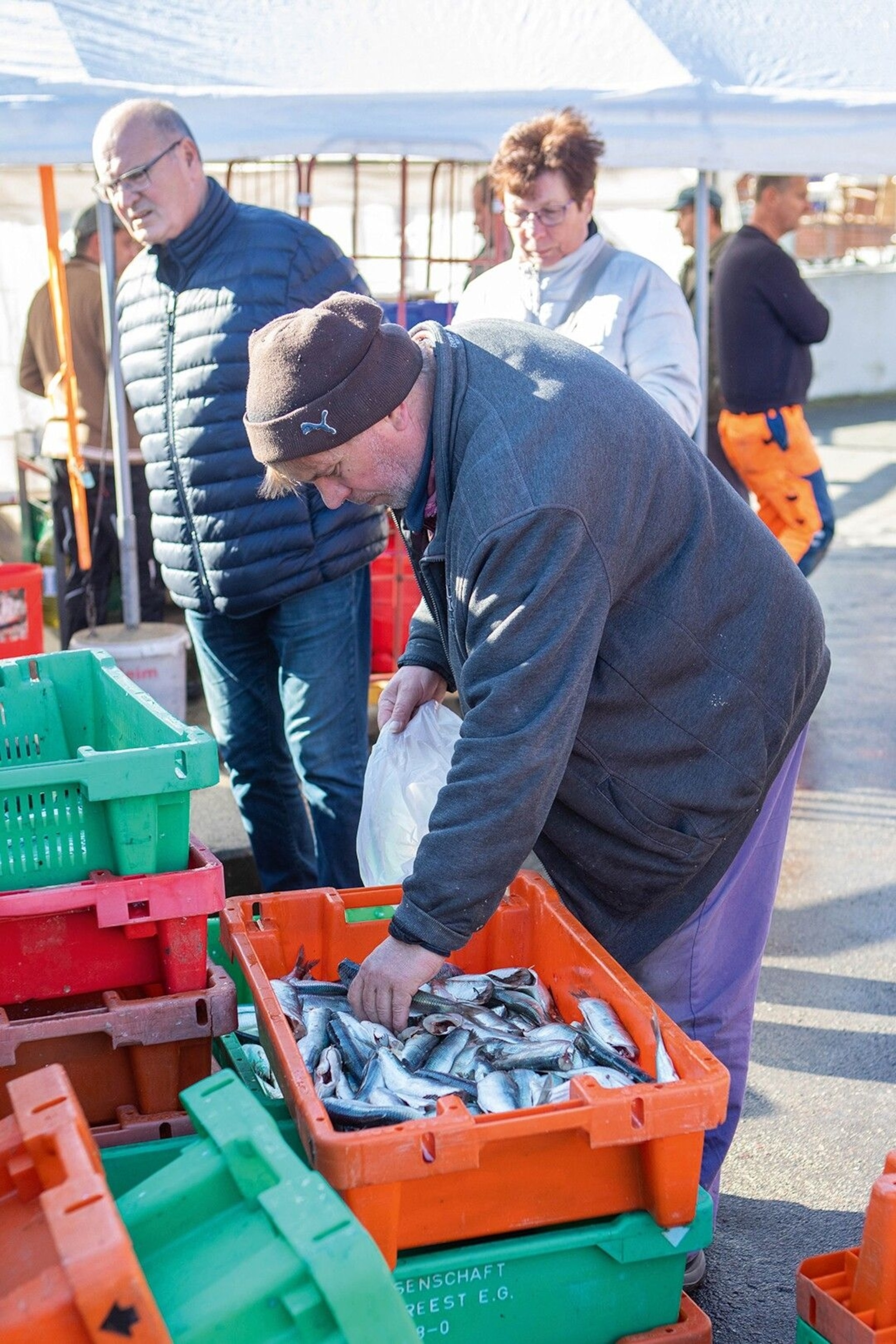 A fisherman selling herring at the Old Harbour in Wismar.