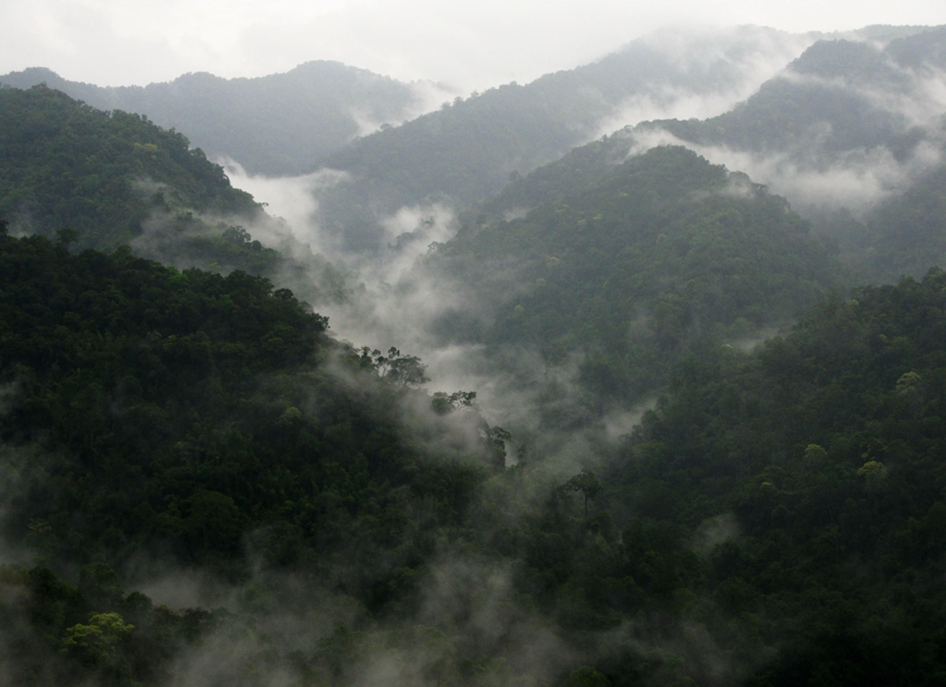 Mountains on Thai-Myanmar border