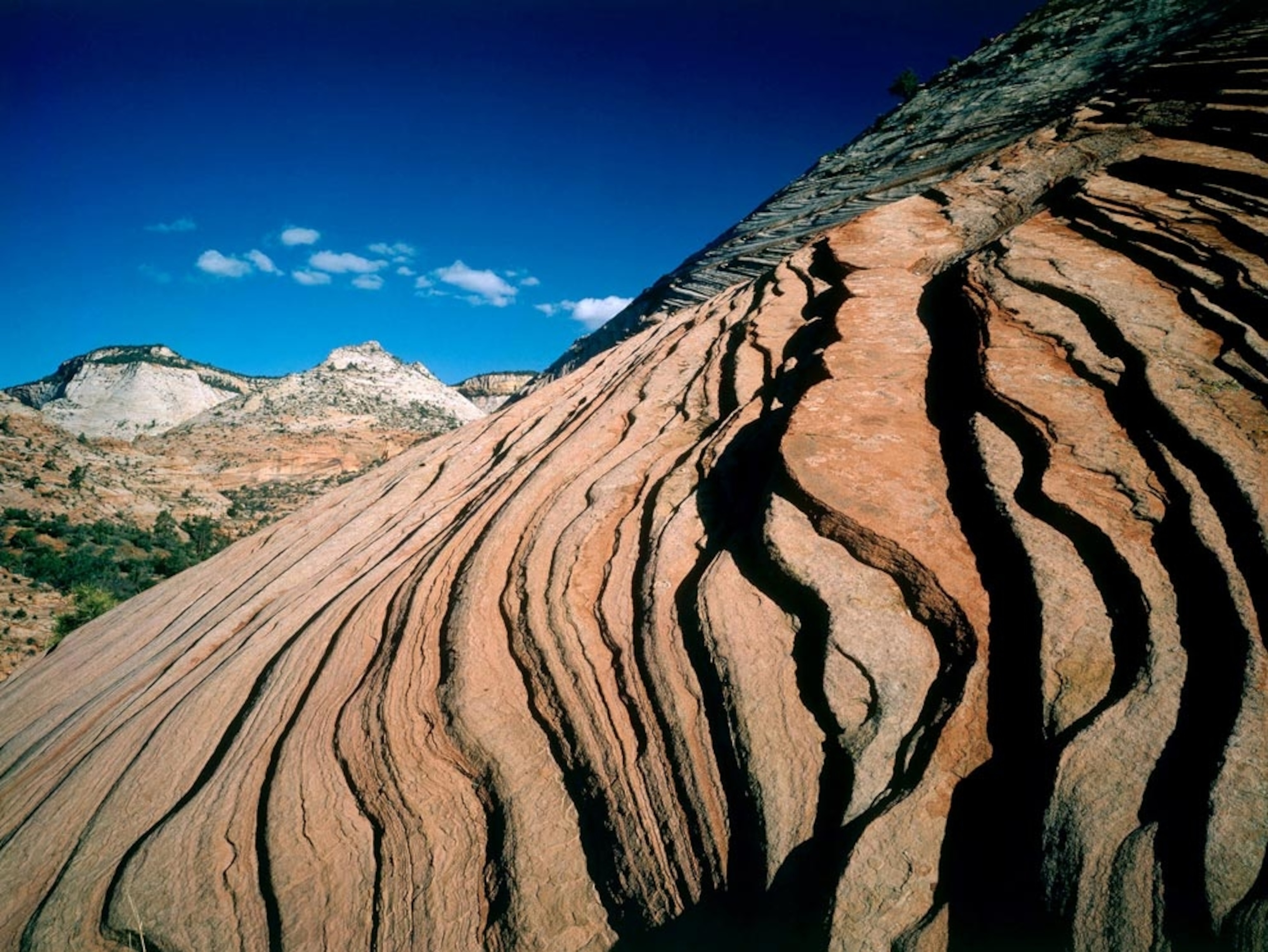 Zion rock layers