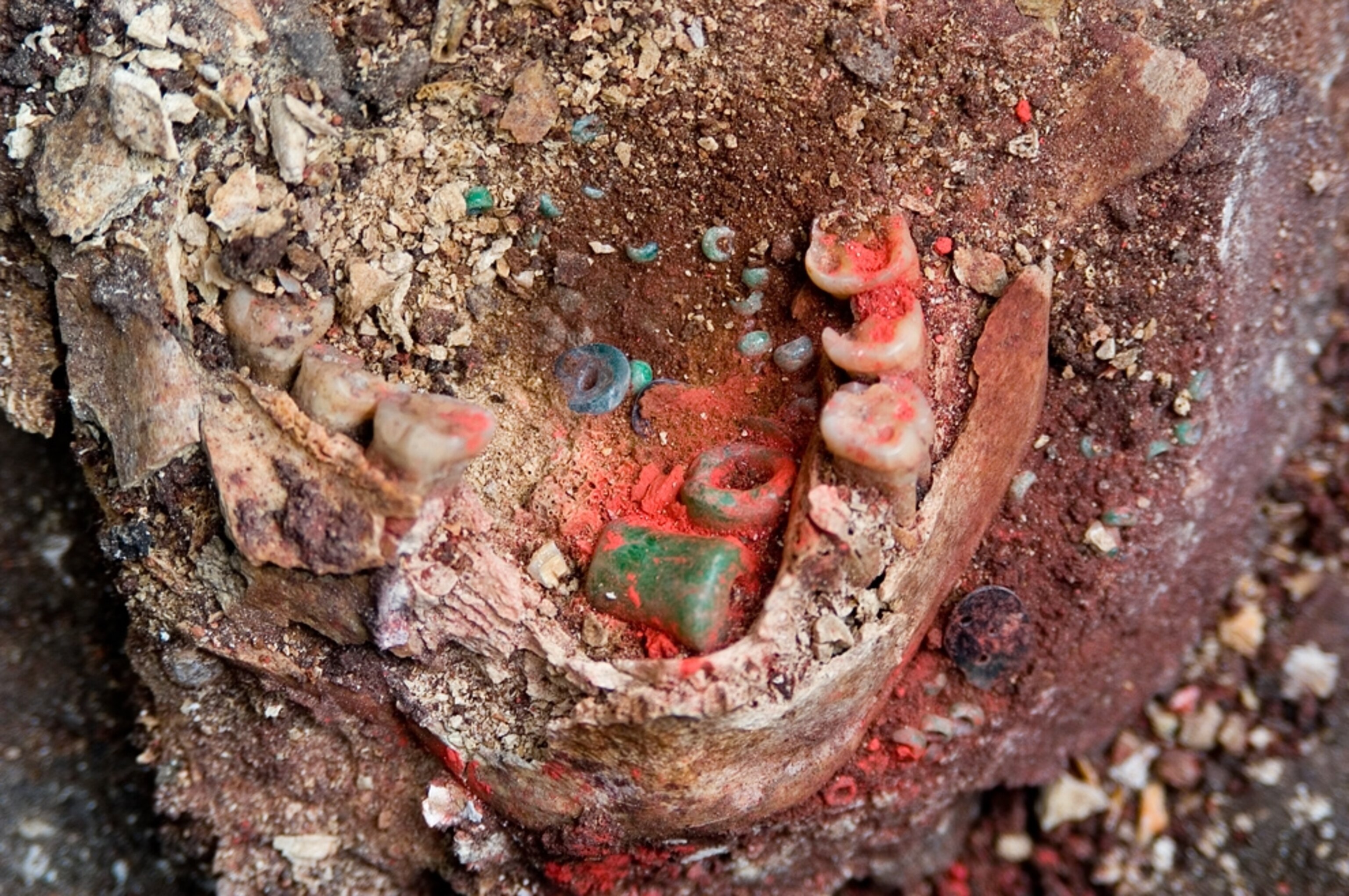Picture of jewels in mouth of ancient elite's jaw in Mexico.