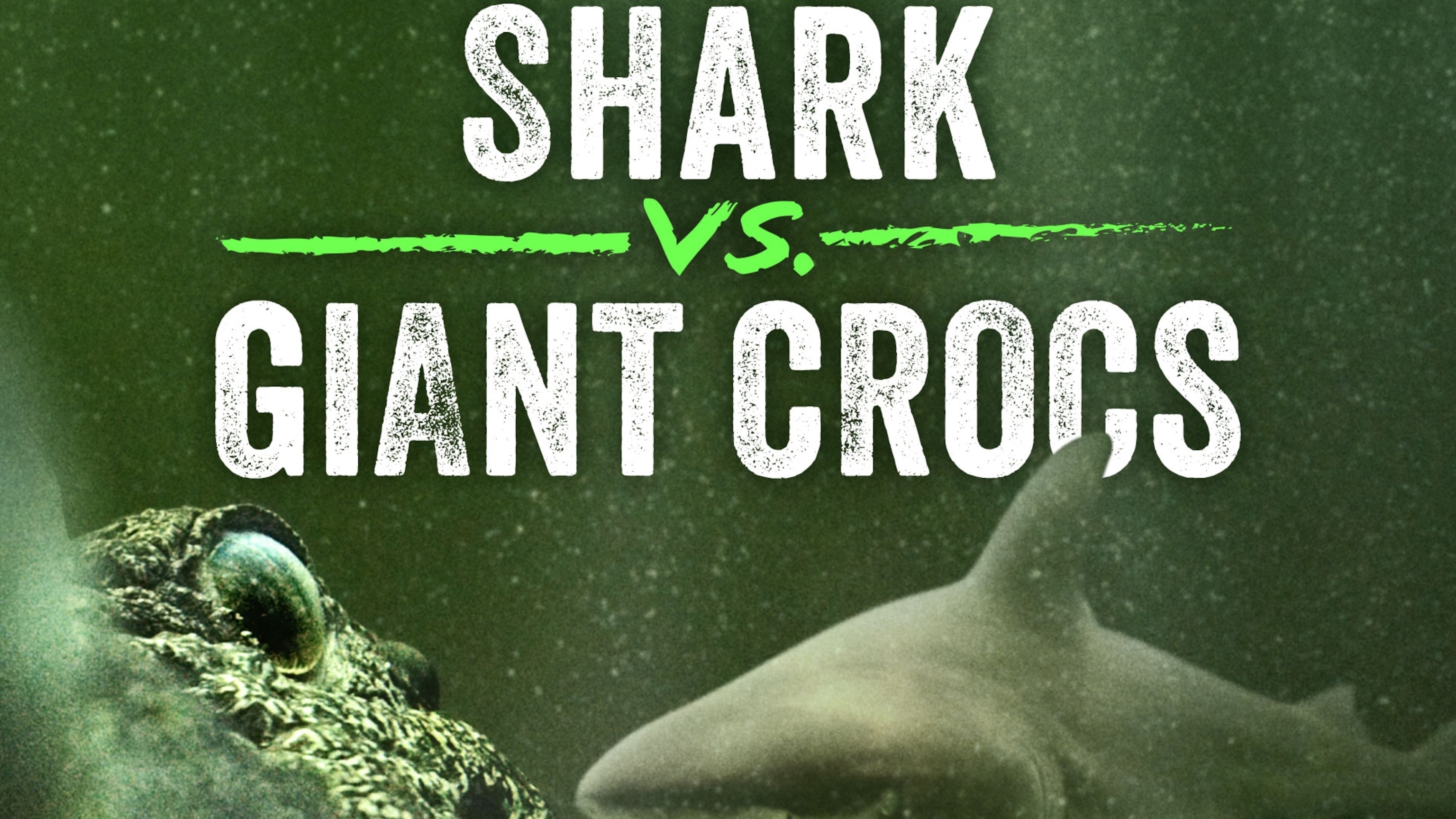 Shark vs. Giant Croc