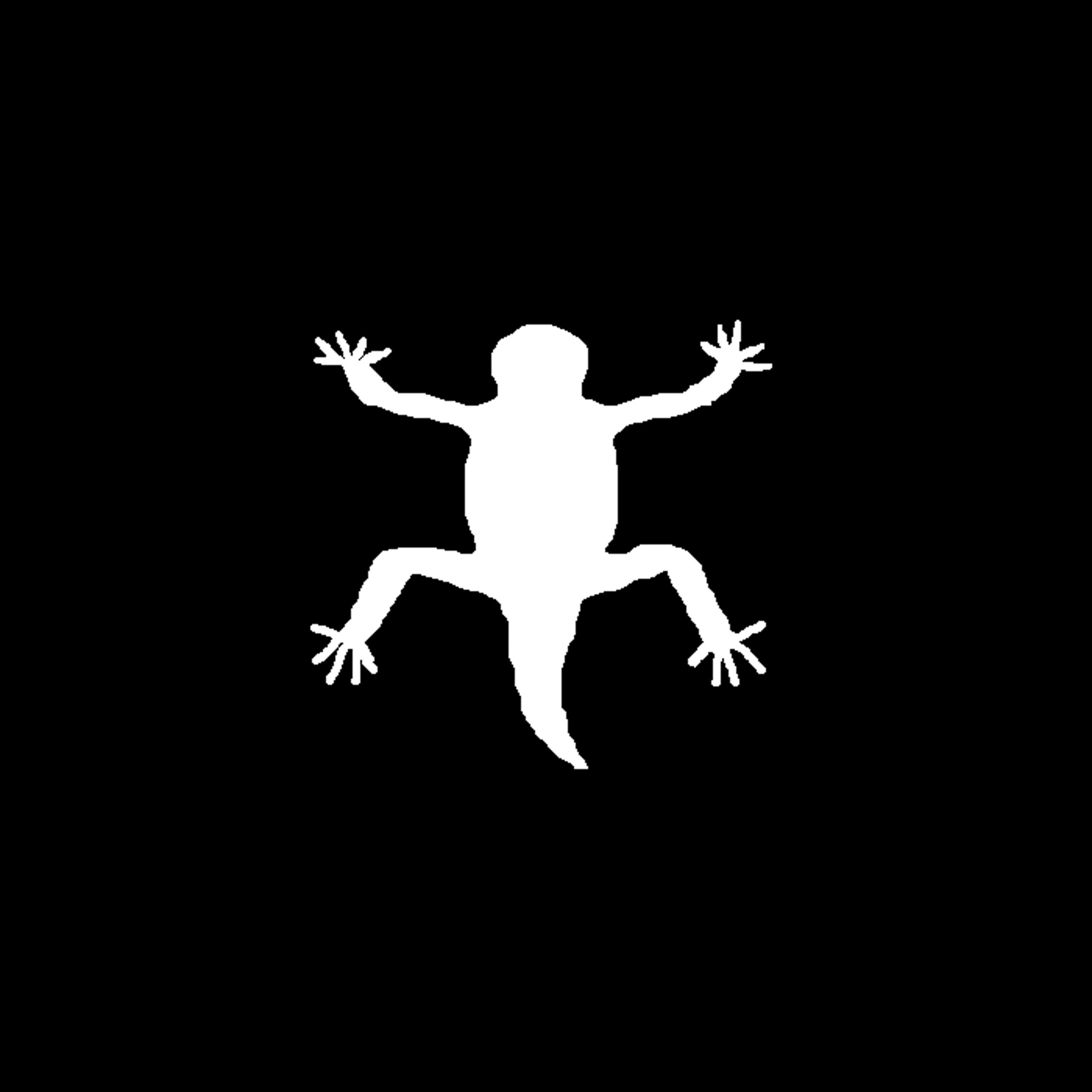 Lizard silhouette.