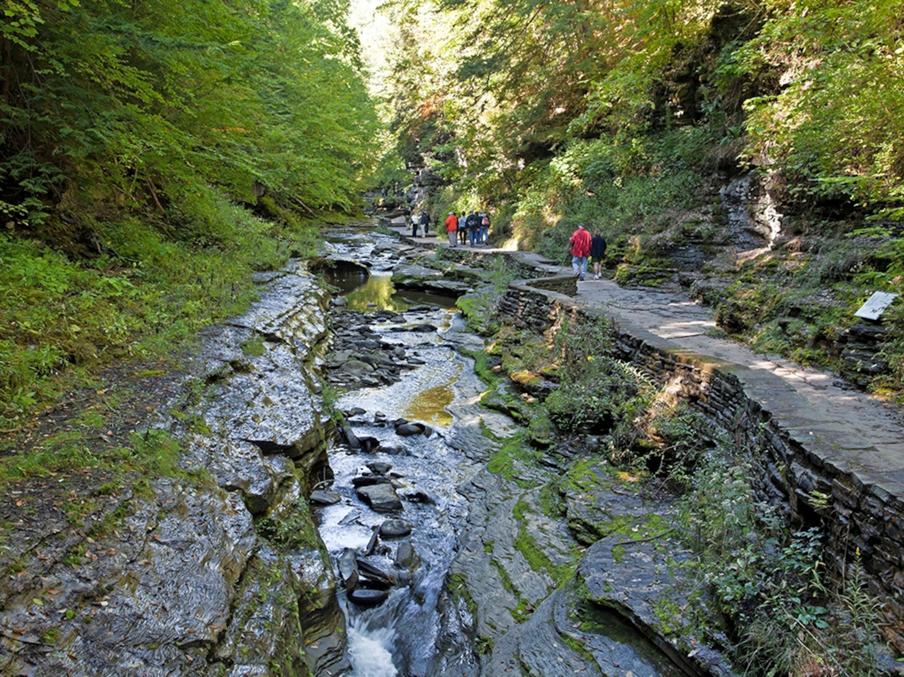 people walking a trail at Watkins Glen State Park, New York State
