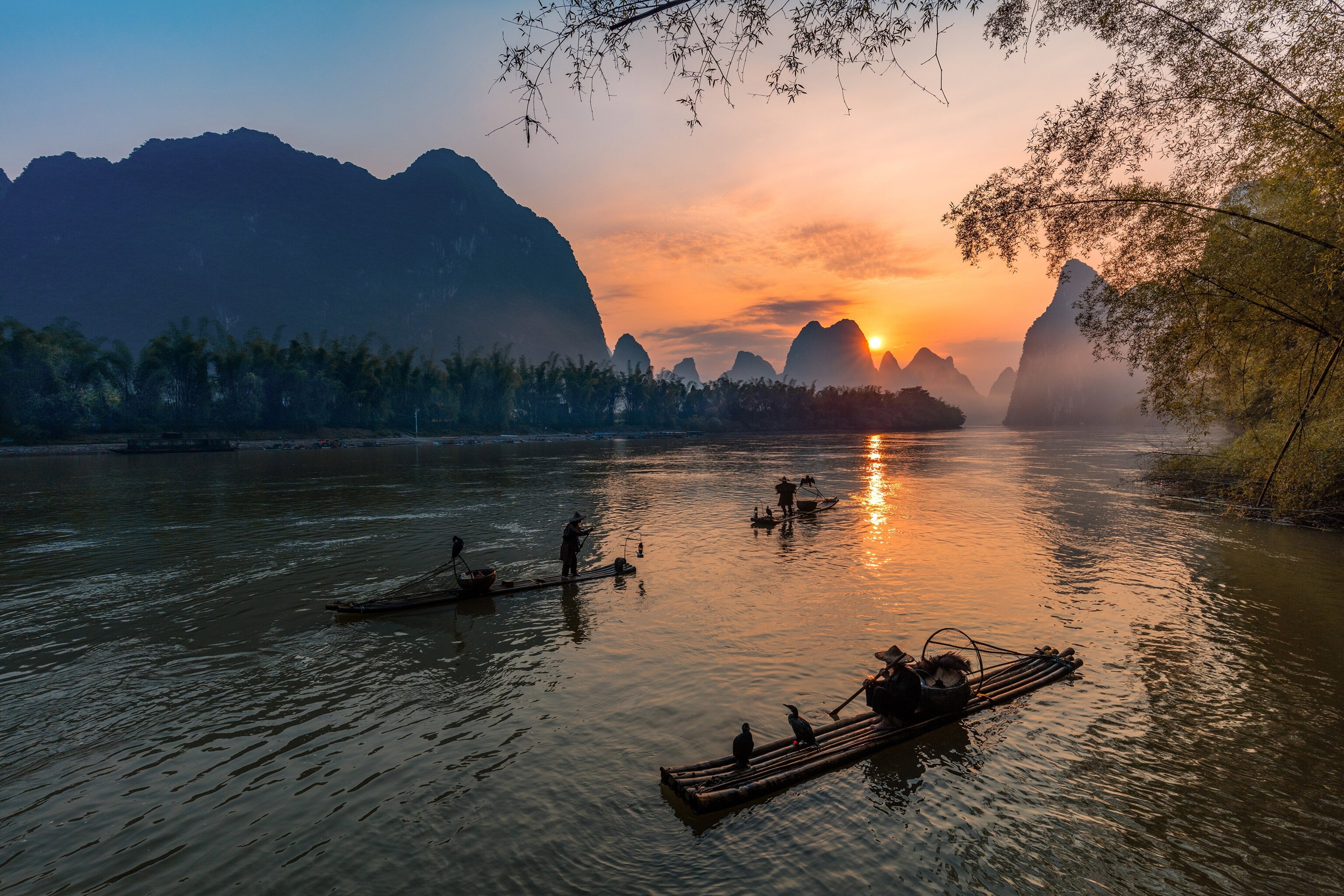 cormorant fishermen in China