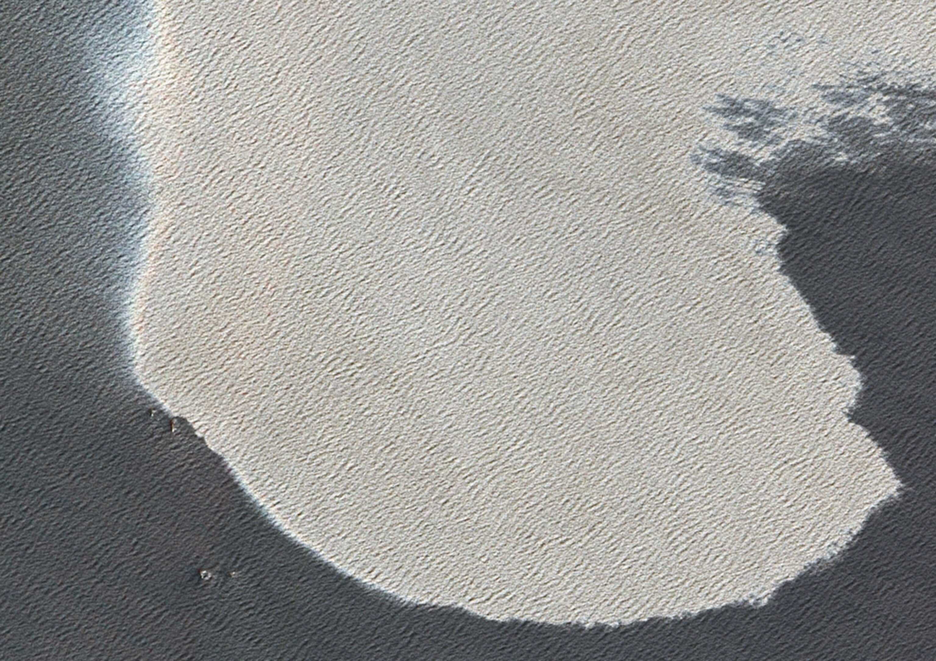 A satellite picture of an oil slick caused by the collapse of the Deepwater Horizon rig.