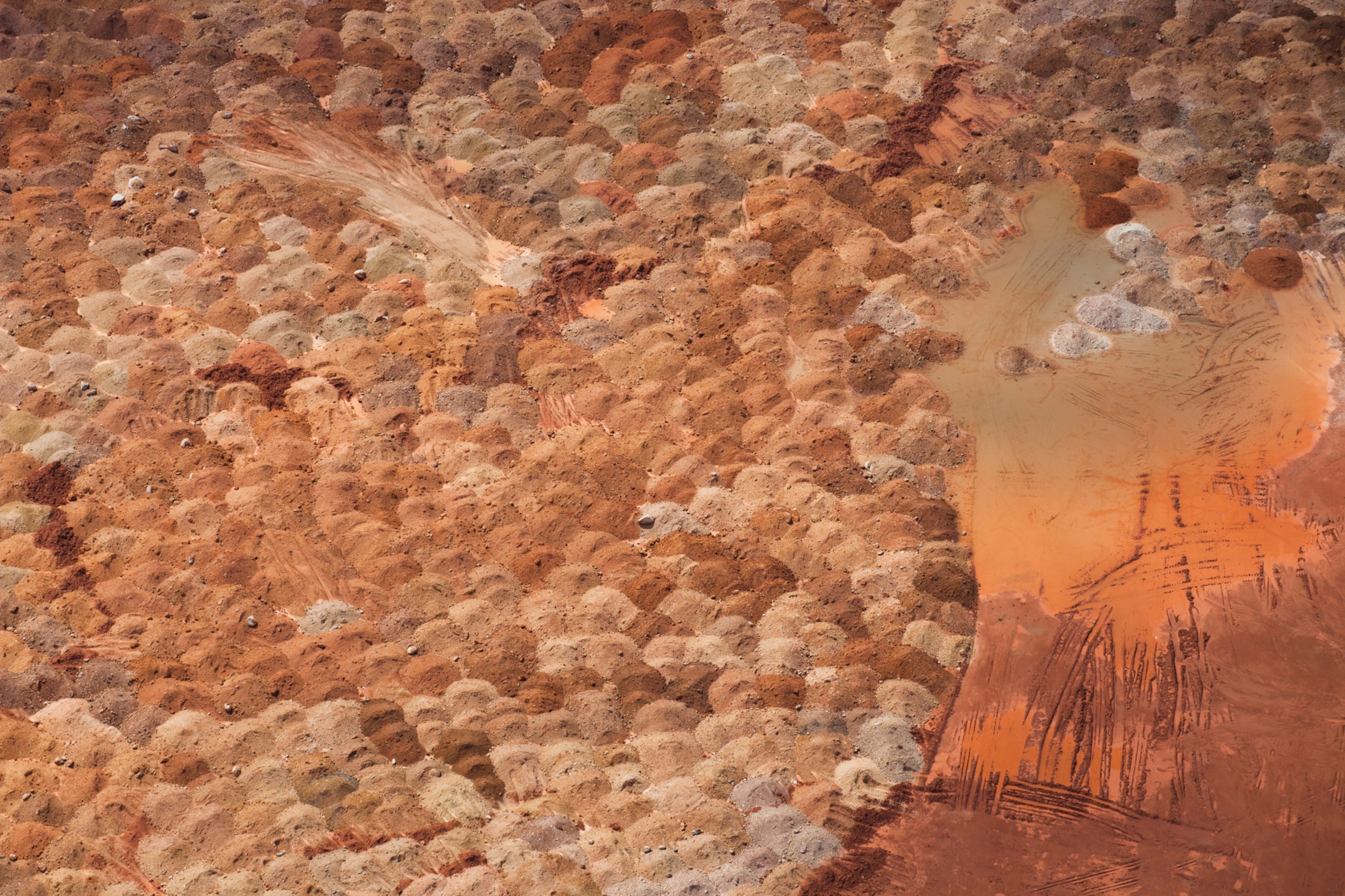 the Belo Monte dam construction site in Brazil