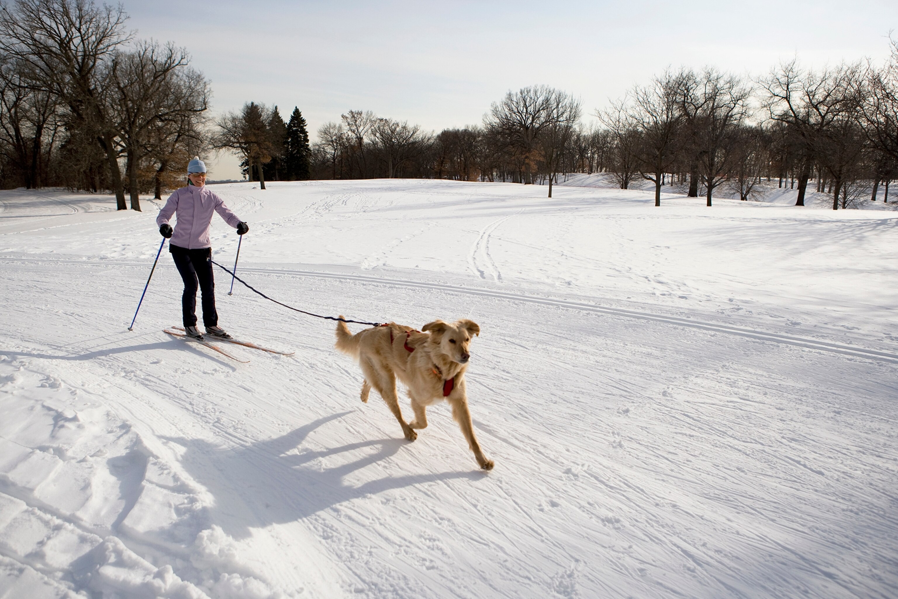 a cross country skier in Minneapolis, Minnesota
