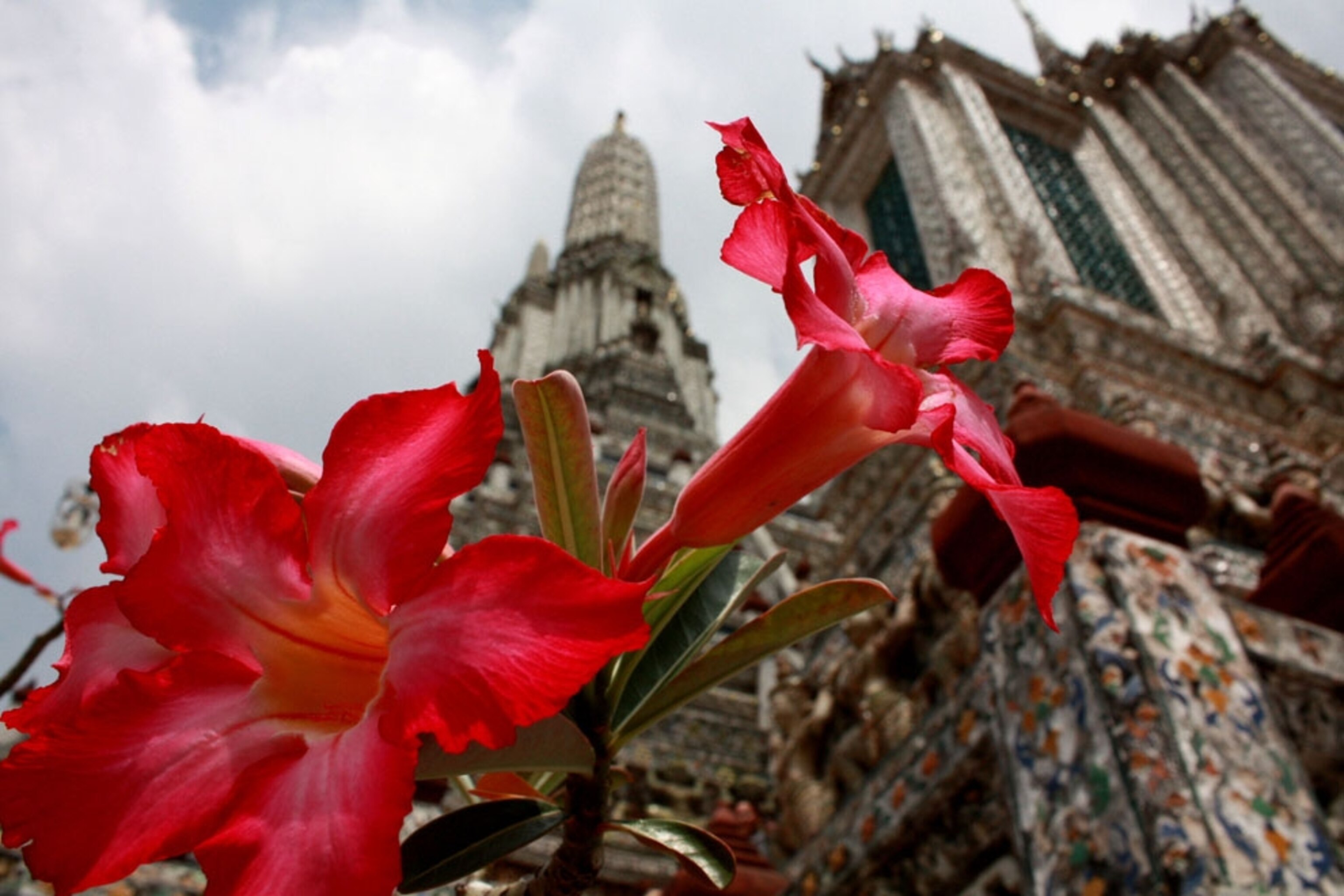 Flowers at Wat Arun temple on the riverbank of Bangkok Thailand