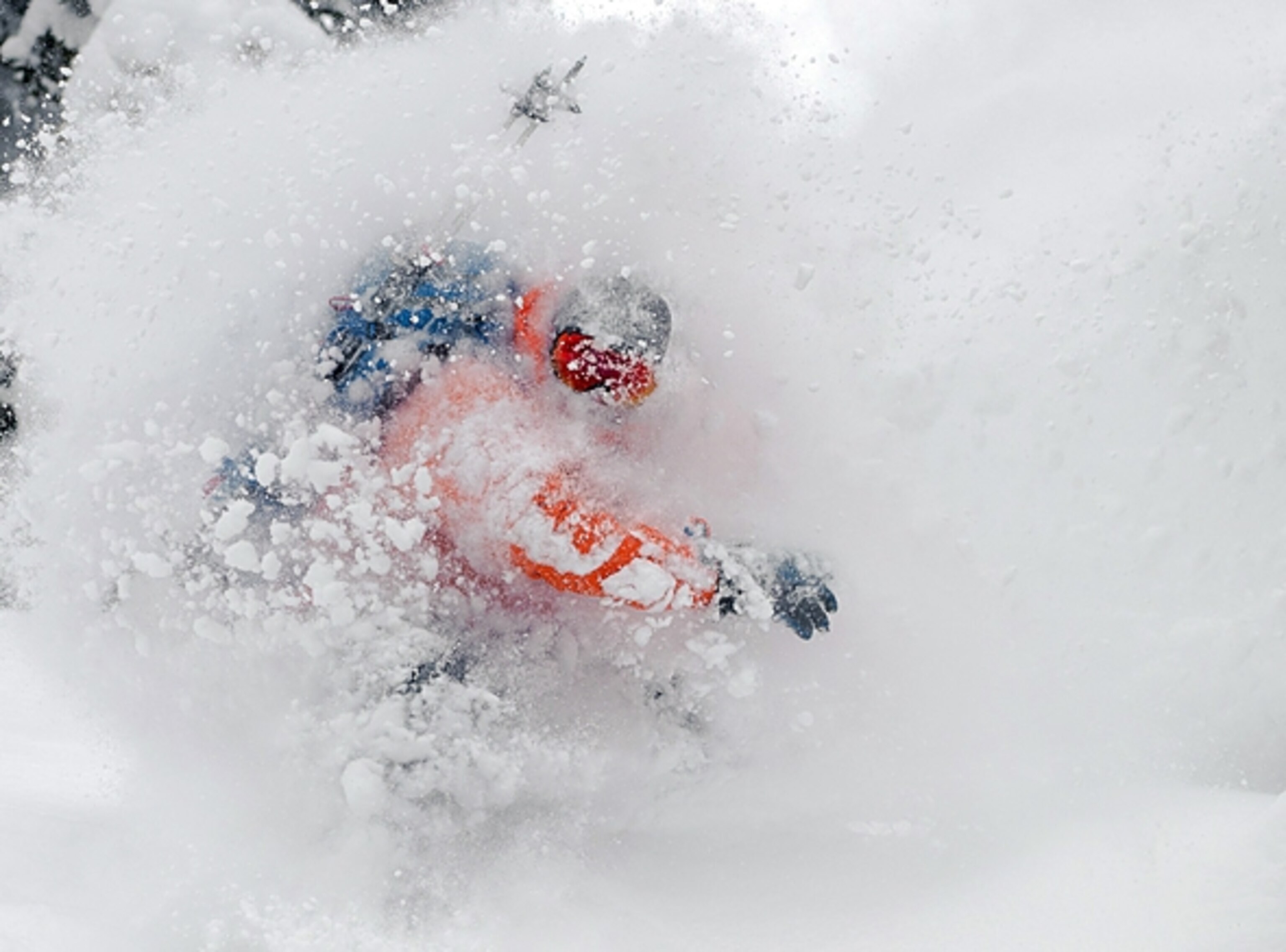 Photograph by Will Wissmanv