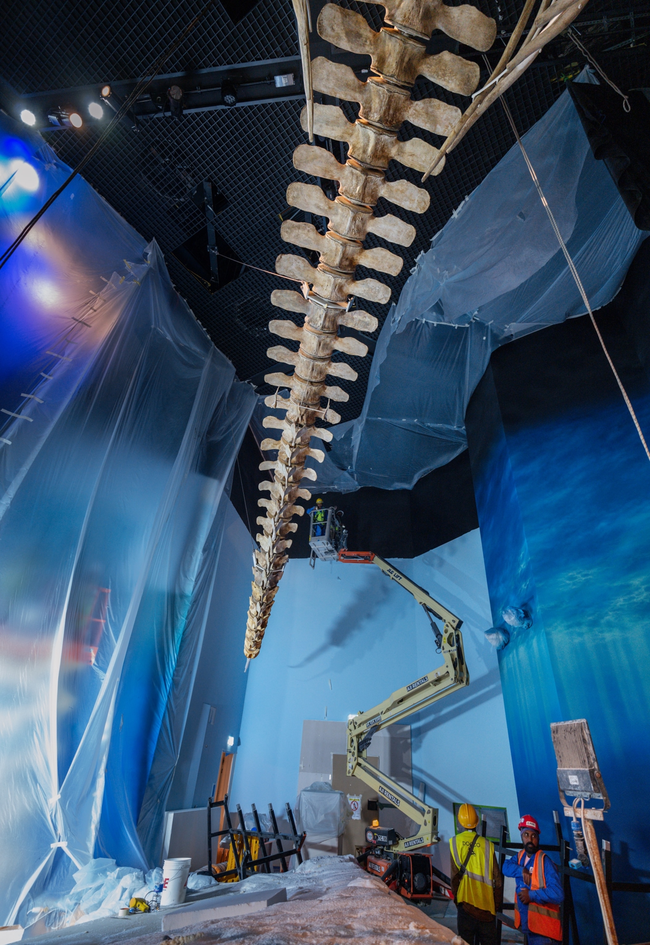 Protective plastic creates a wall around the area where contractors are actively hanging an exhibit from the ceiling.