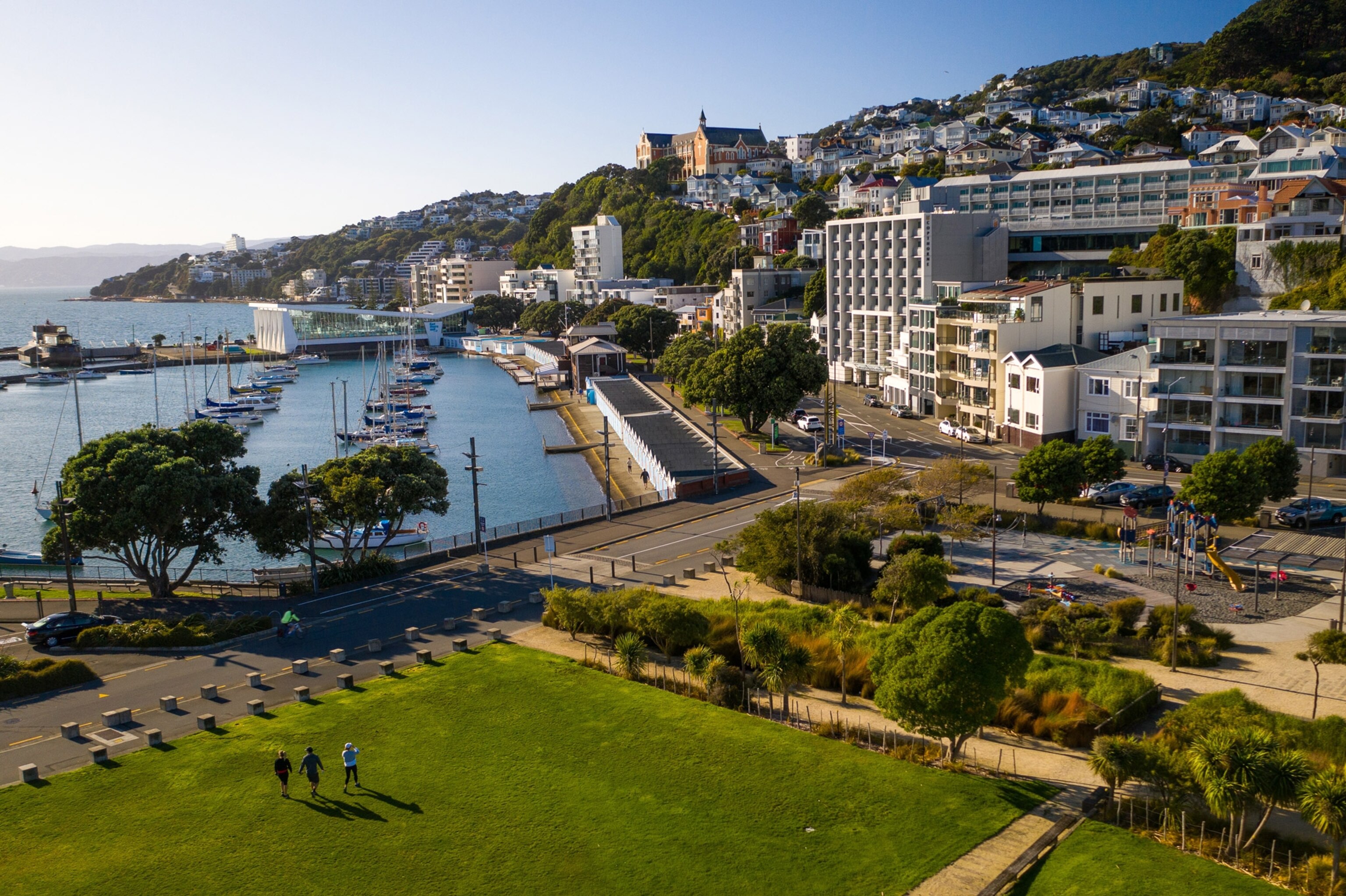 new zealand during the time of covid