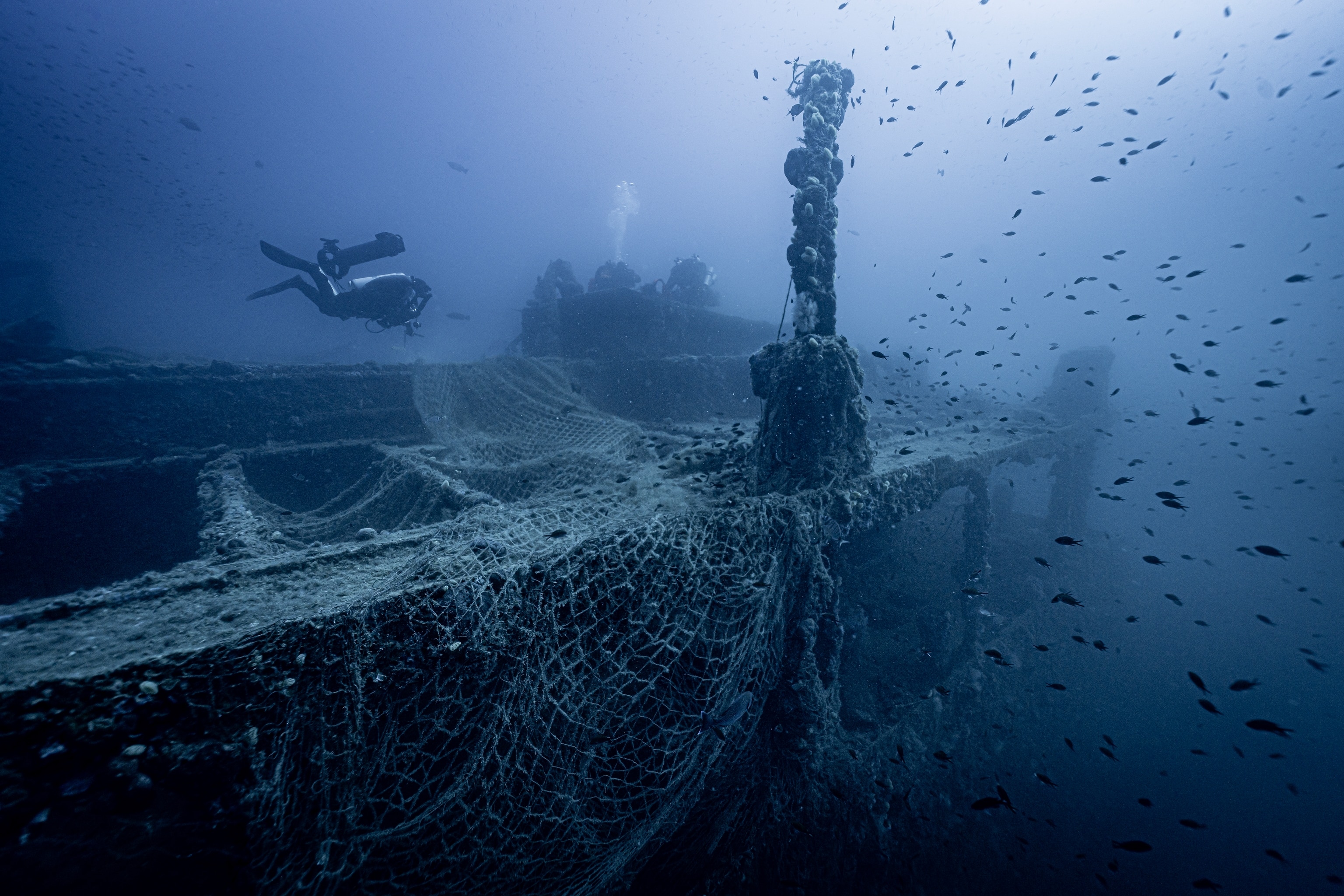 A diver swims over a shipwreck, with a large net laying over it, as many small fish swim around.
