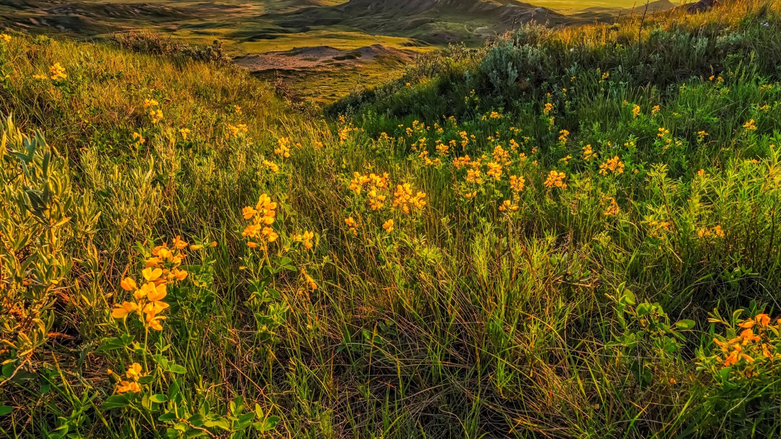 Here are 10 national parks in Canada you need to visit