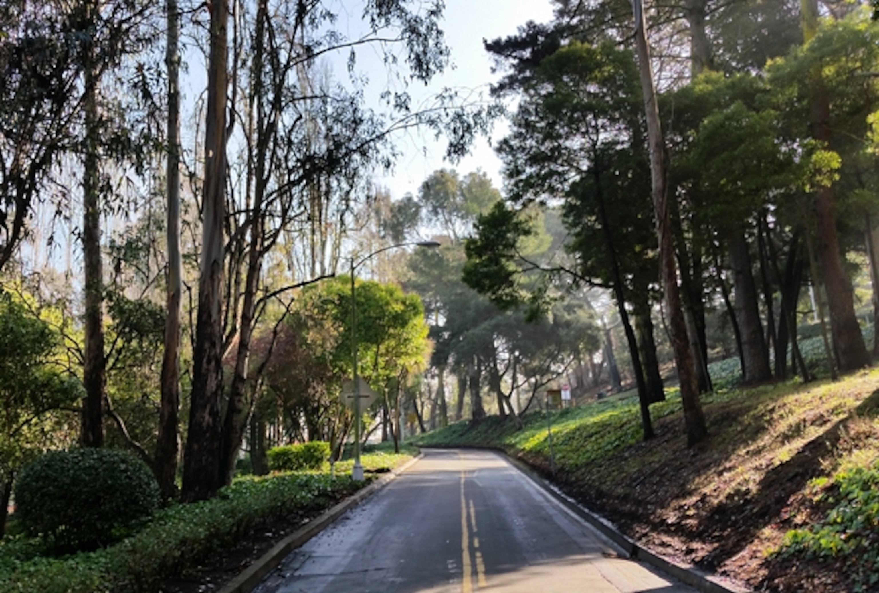 Morning lights strikes a winding road on Treasure Island. (Photograph by Robert Reid)