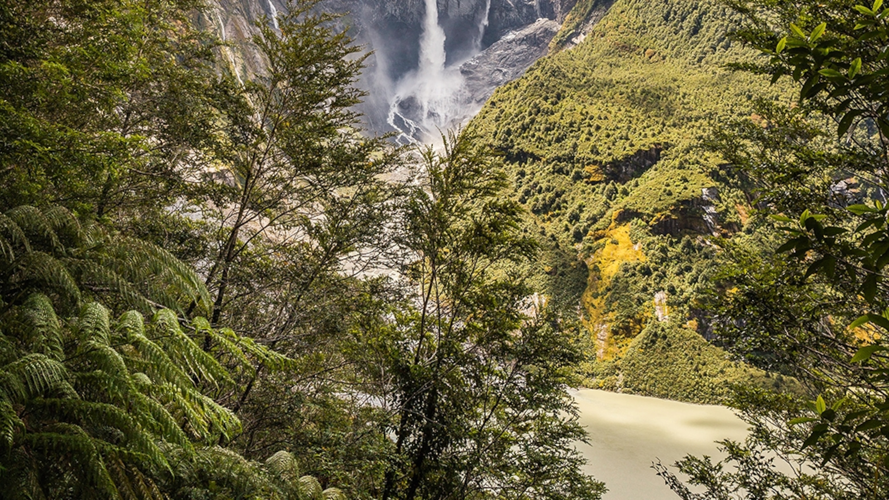 Could This Wild Rainforest be Patagonia's Best-Kept Secret?
