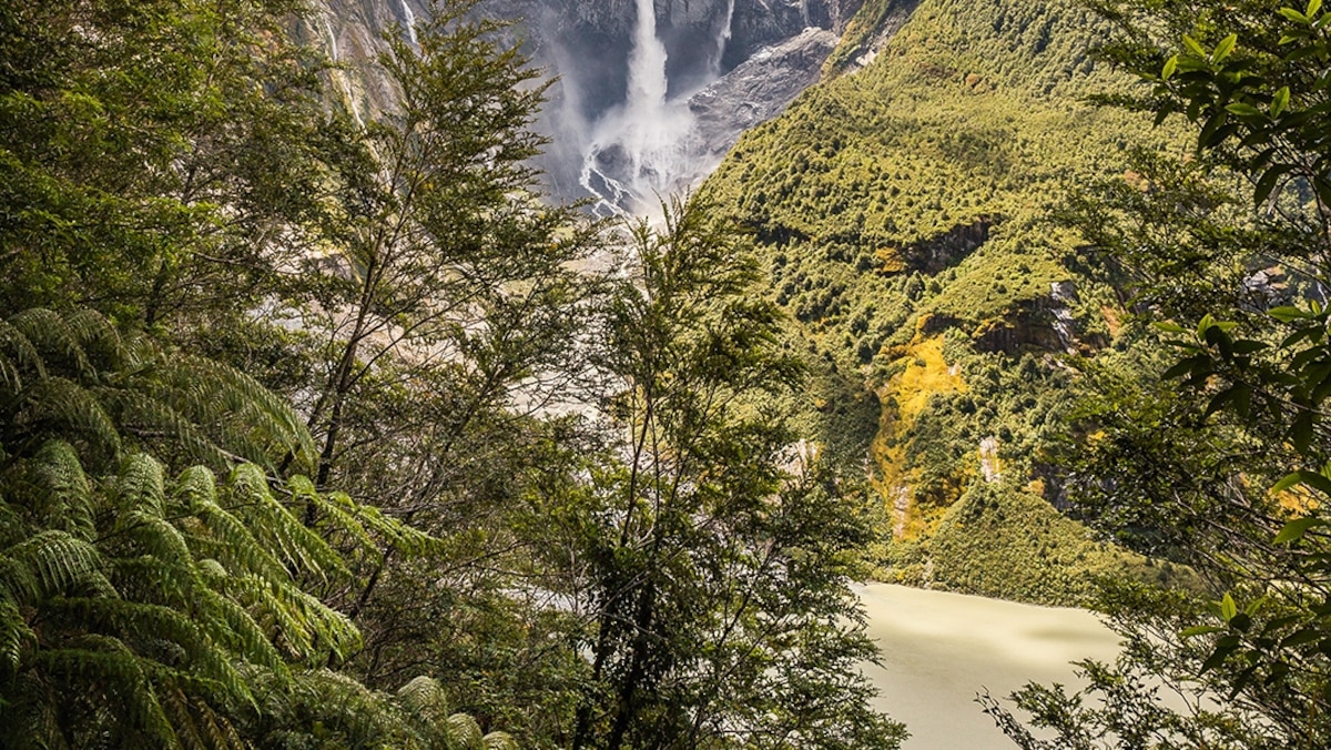 Could this wild rainforest be Patagonia's best-kept secret?