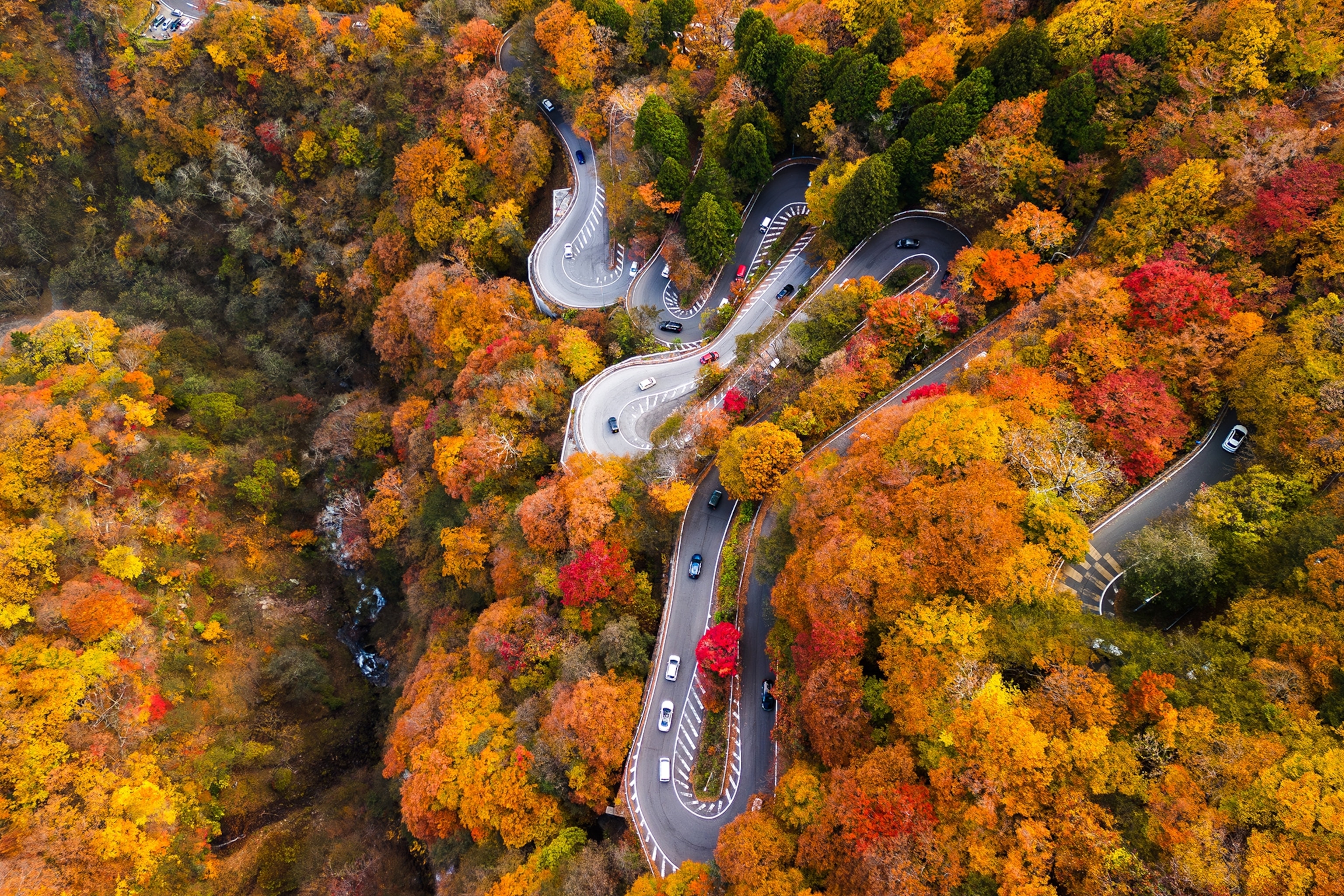 mountain road in autumn
