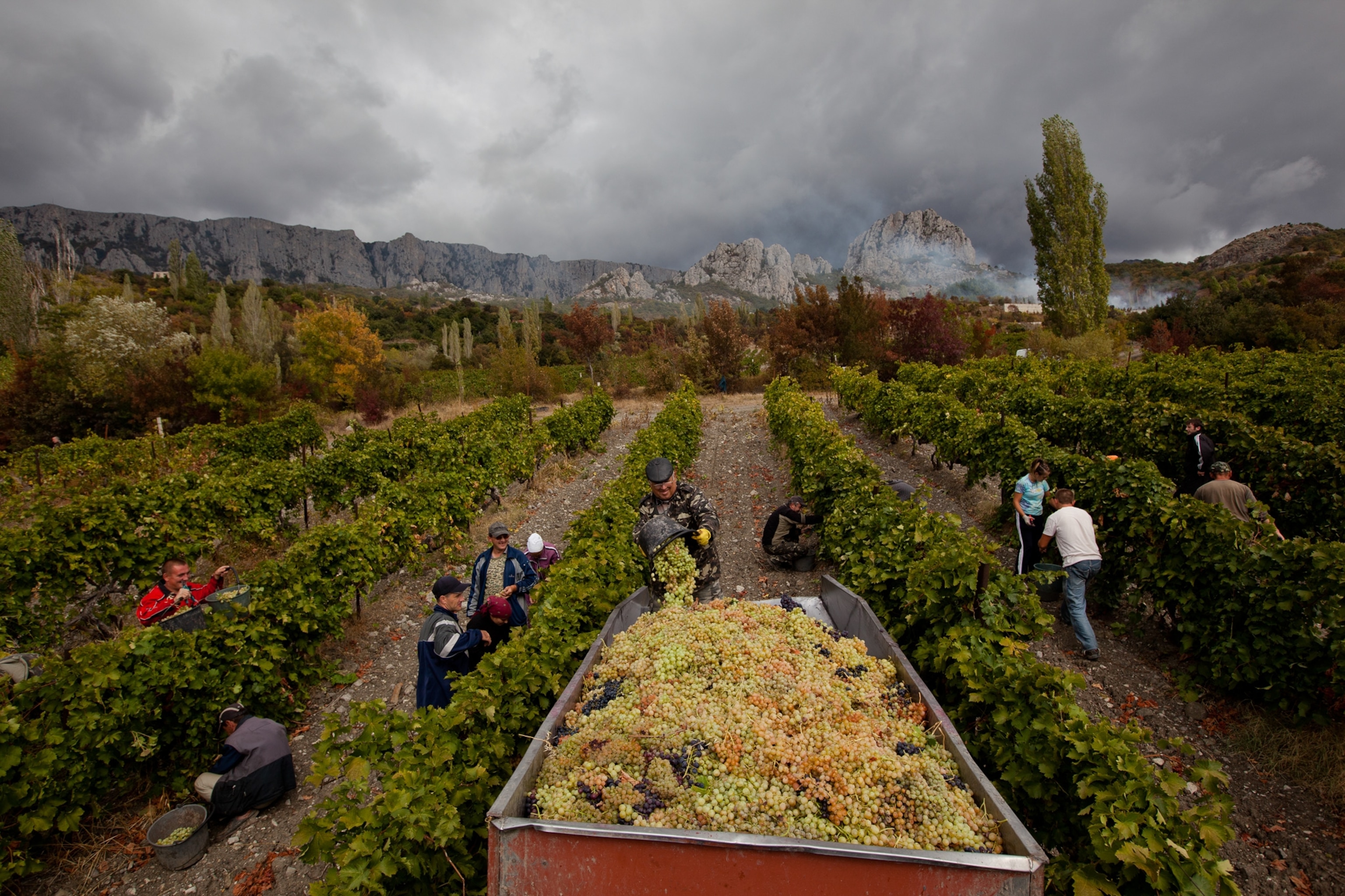 Navy cadets take the bus back to their barracks