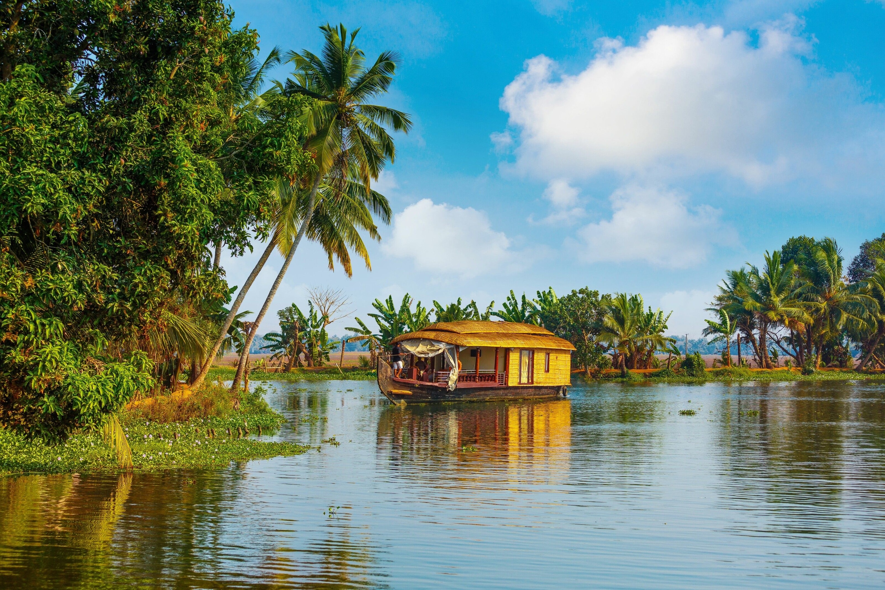 Houseboat touring Kerala's backwaters.