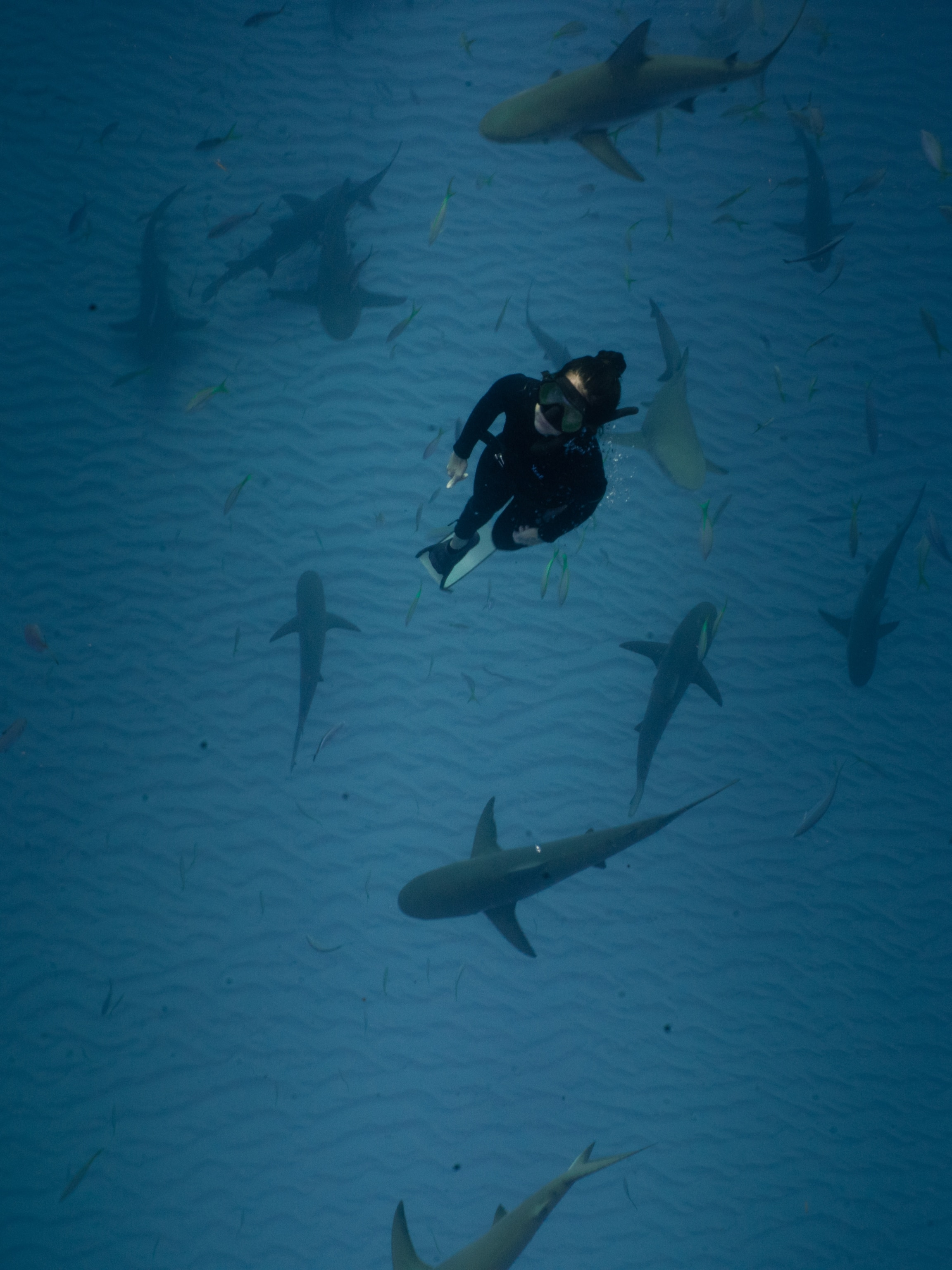 ナショナルジオグラフィックwedgeDAYS Plunge into the wild world of extreme watersports | National