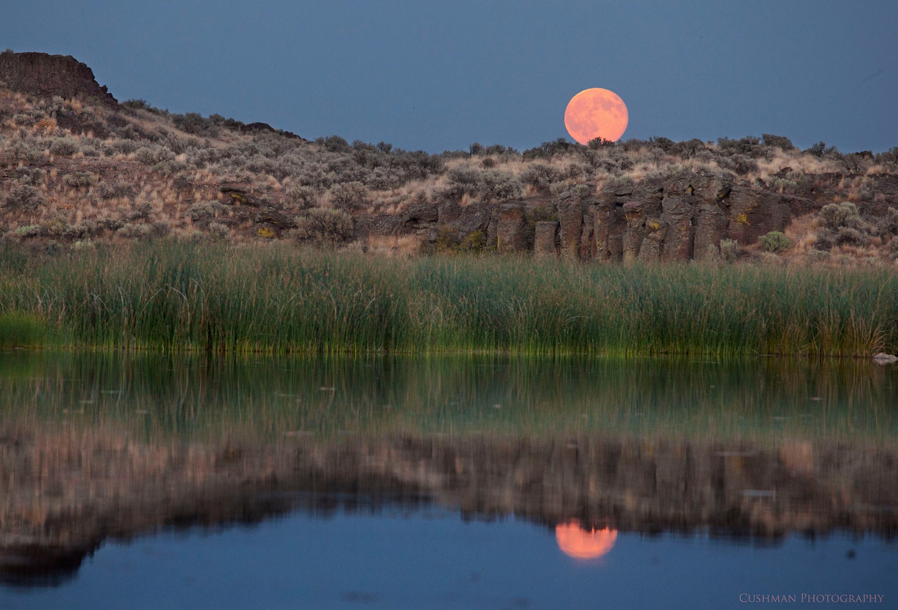A view of the super moon from central Washington State with a slight discoloration from local wildfires.