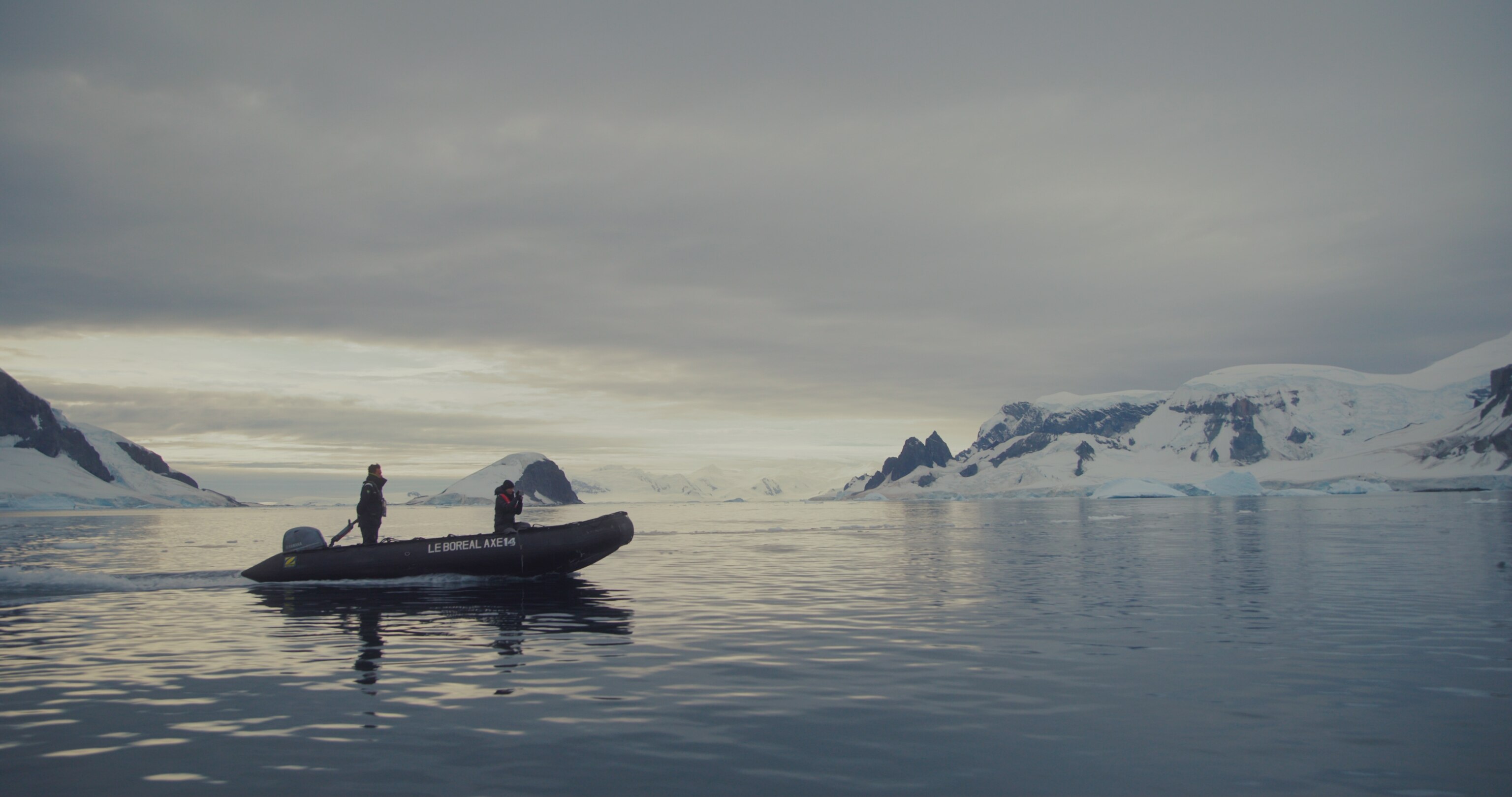 visitors to Antarctica in the ocean.