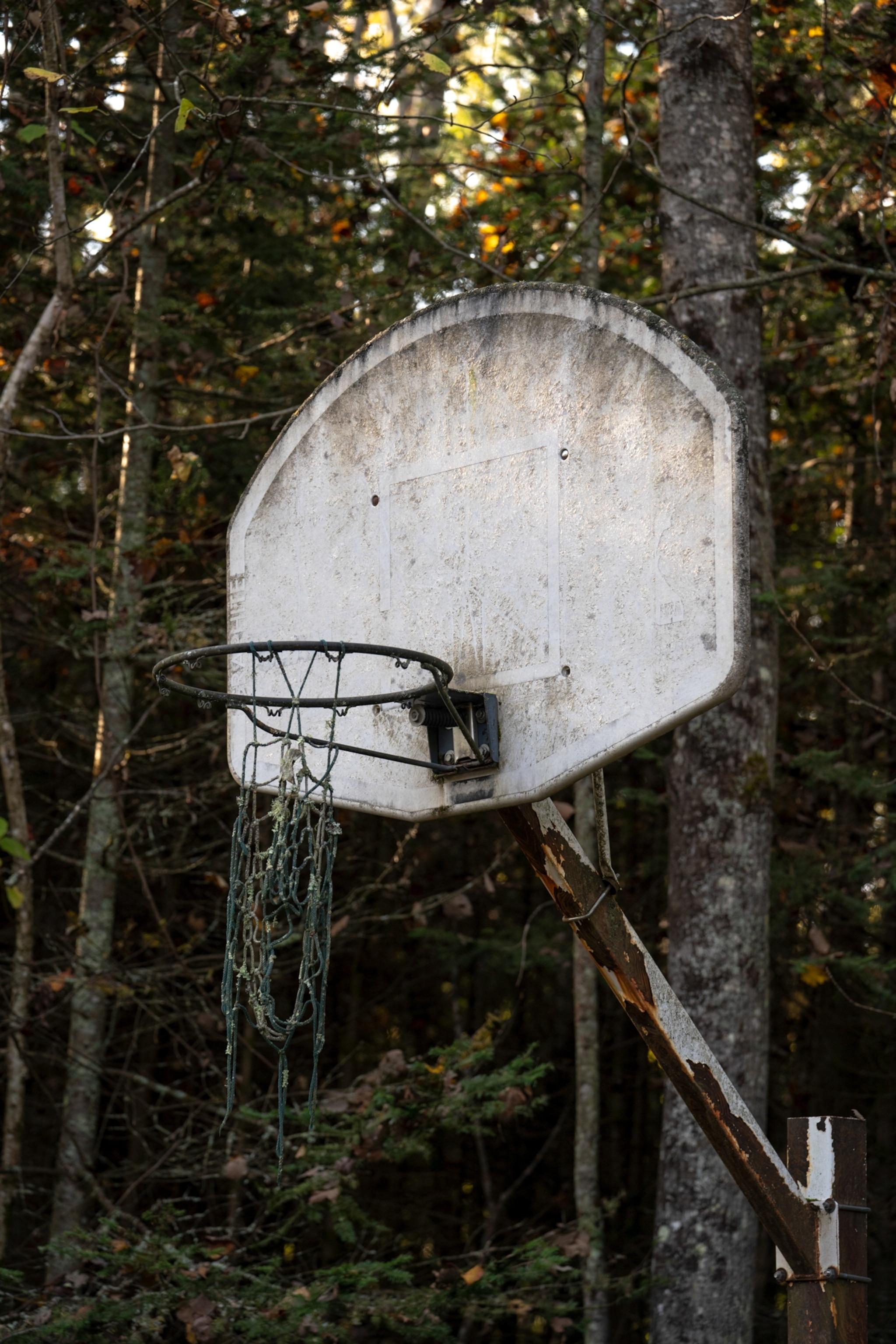 an old basketball hoop