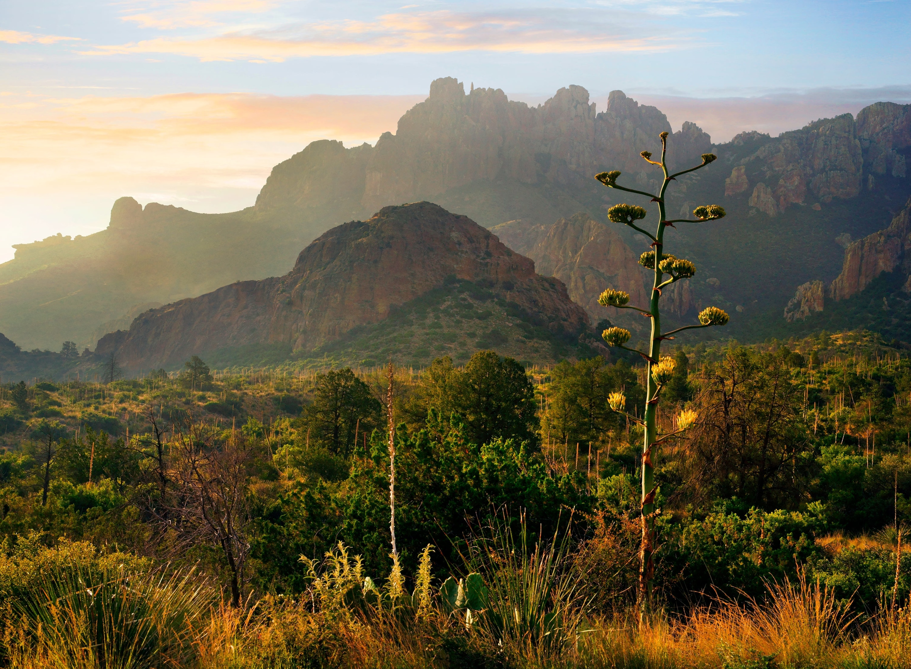 Big Bend National Park in Texas