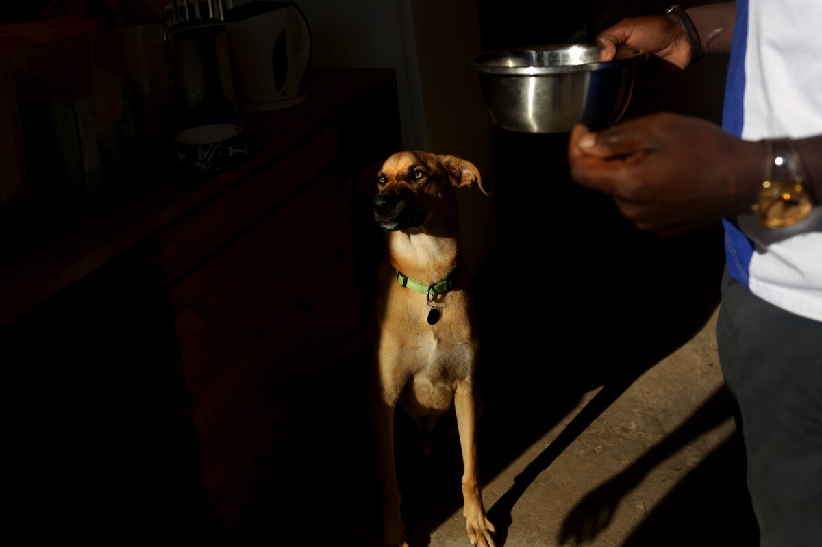 Beautiful Photos Show How Rwandans Are Embracing Dogs as Pets