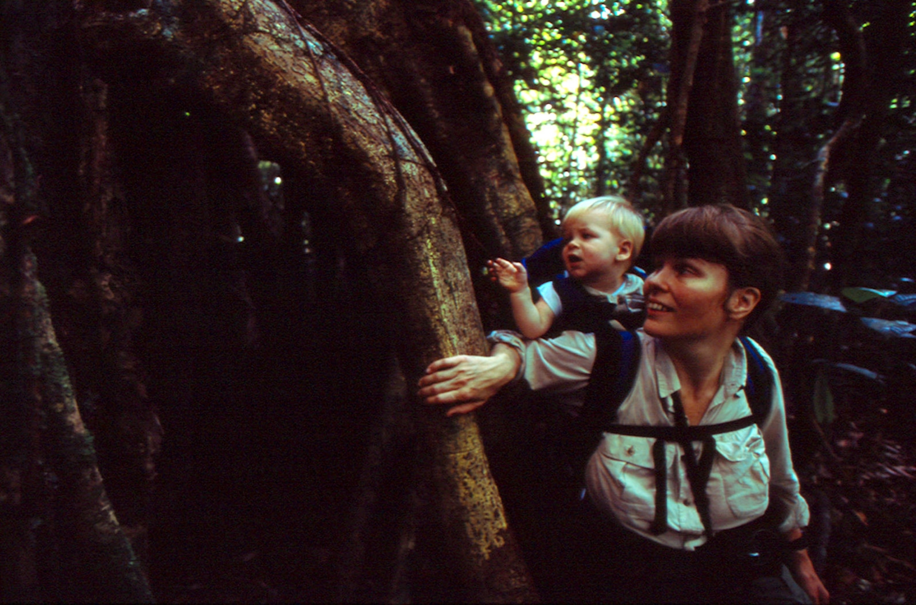 Cheryl Knott, an orangutan researcher, carrying her young son on her back as she treks through the forest