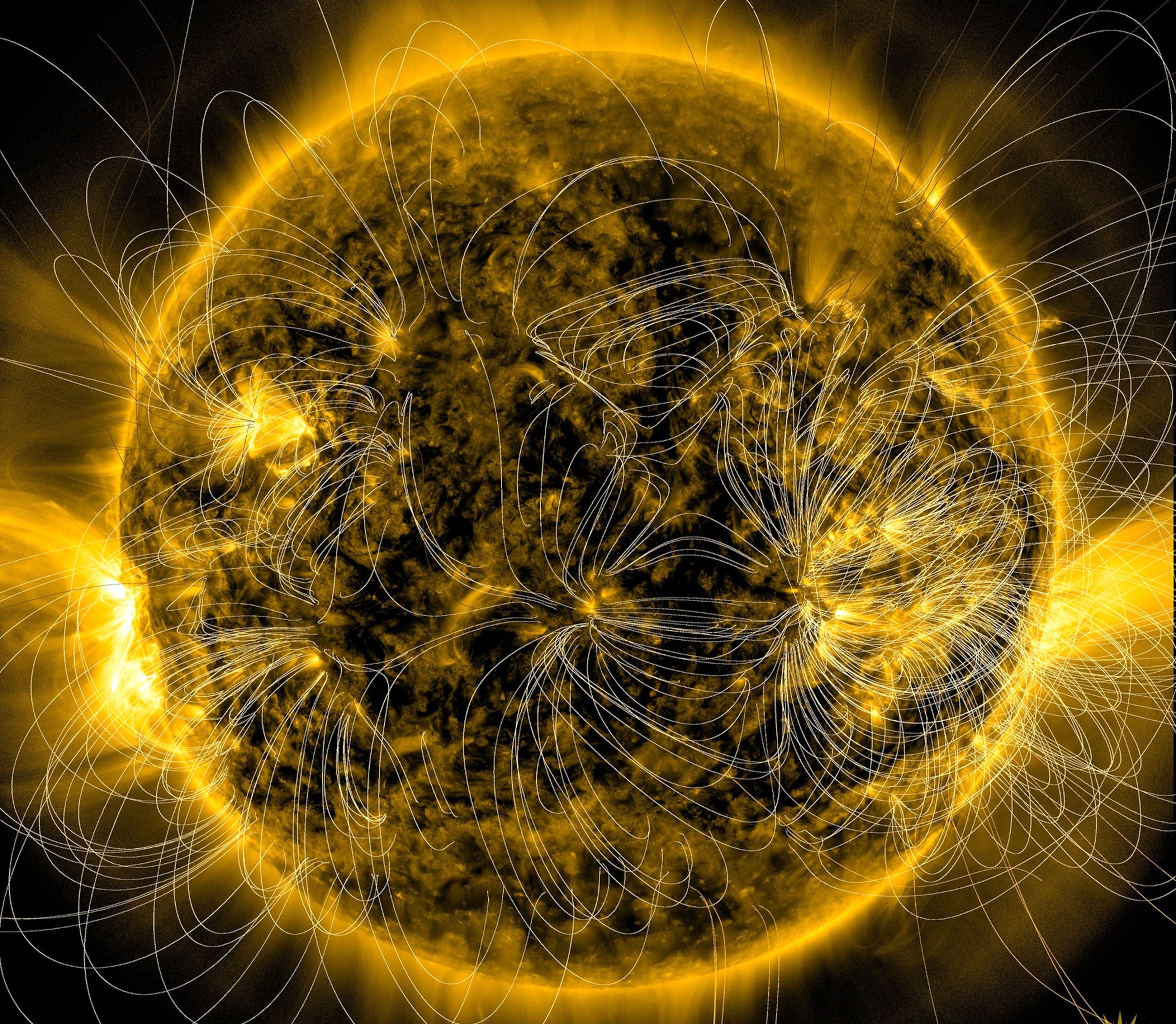 the paths of magnetic fields across the sun