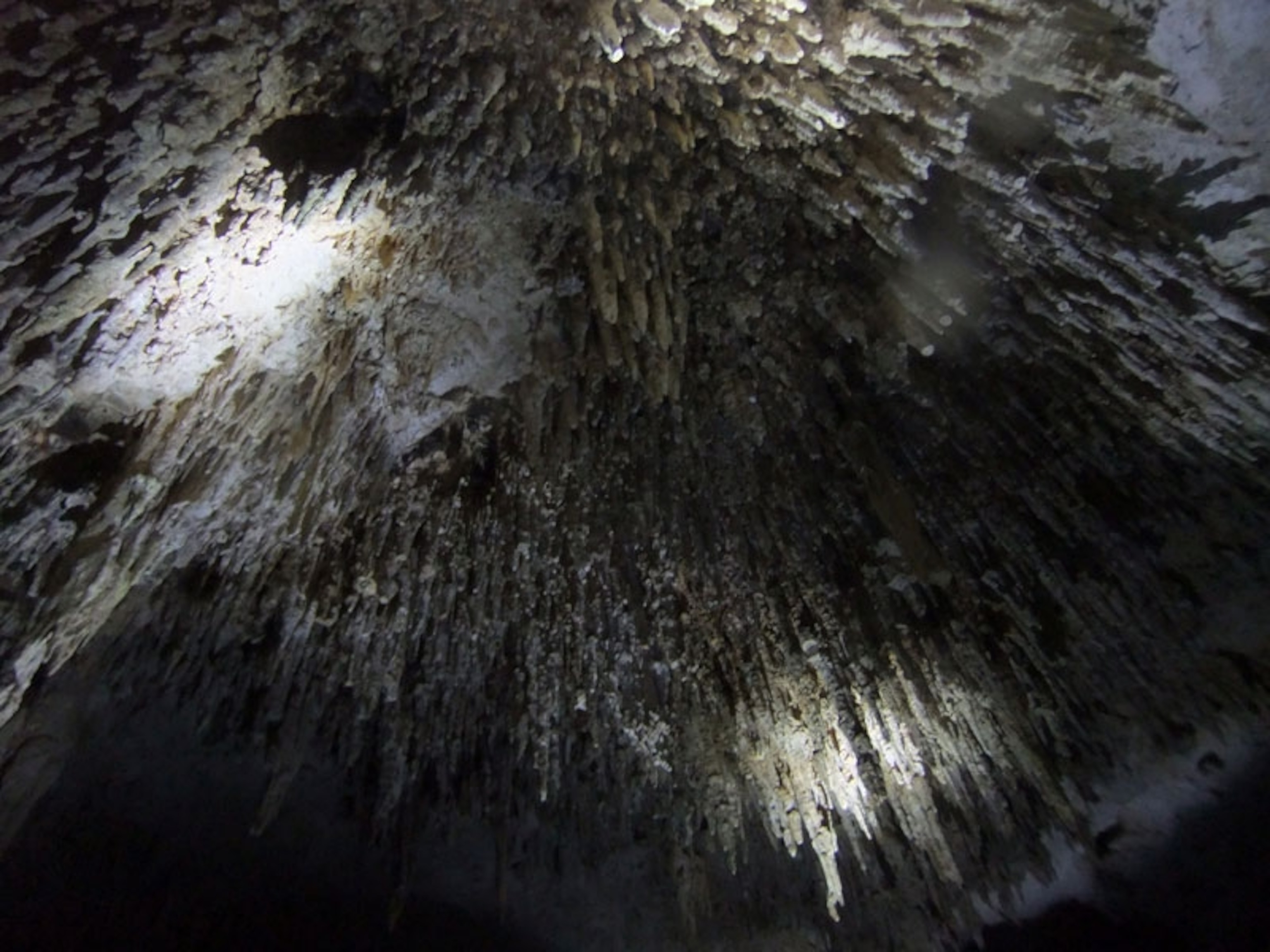 A starburst of stalactites.