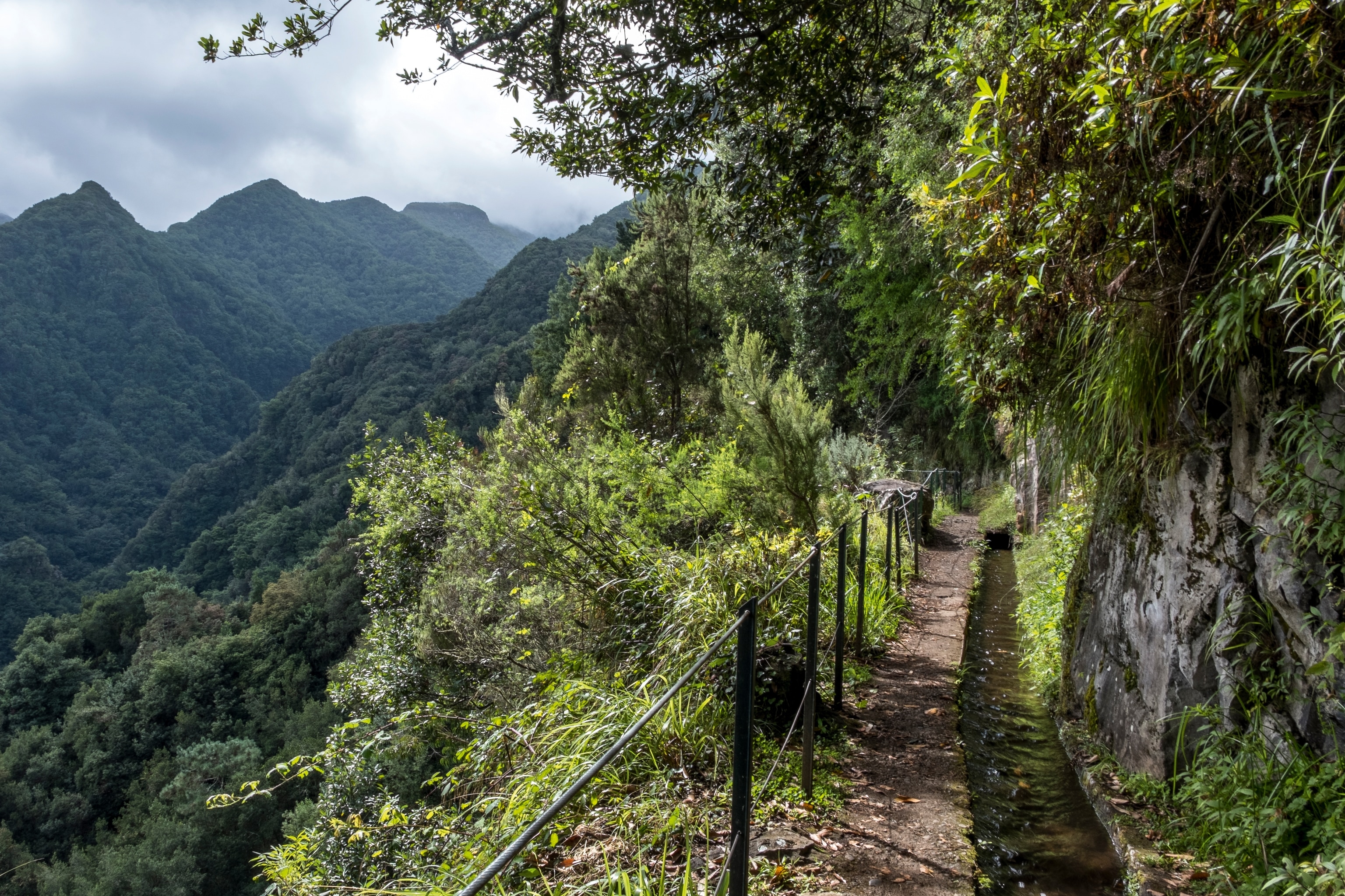 An overgrown hiking path running along the outer edge of a mountain with views over the tropical landscape.