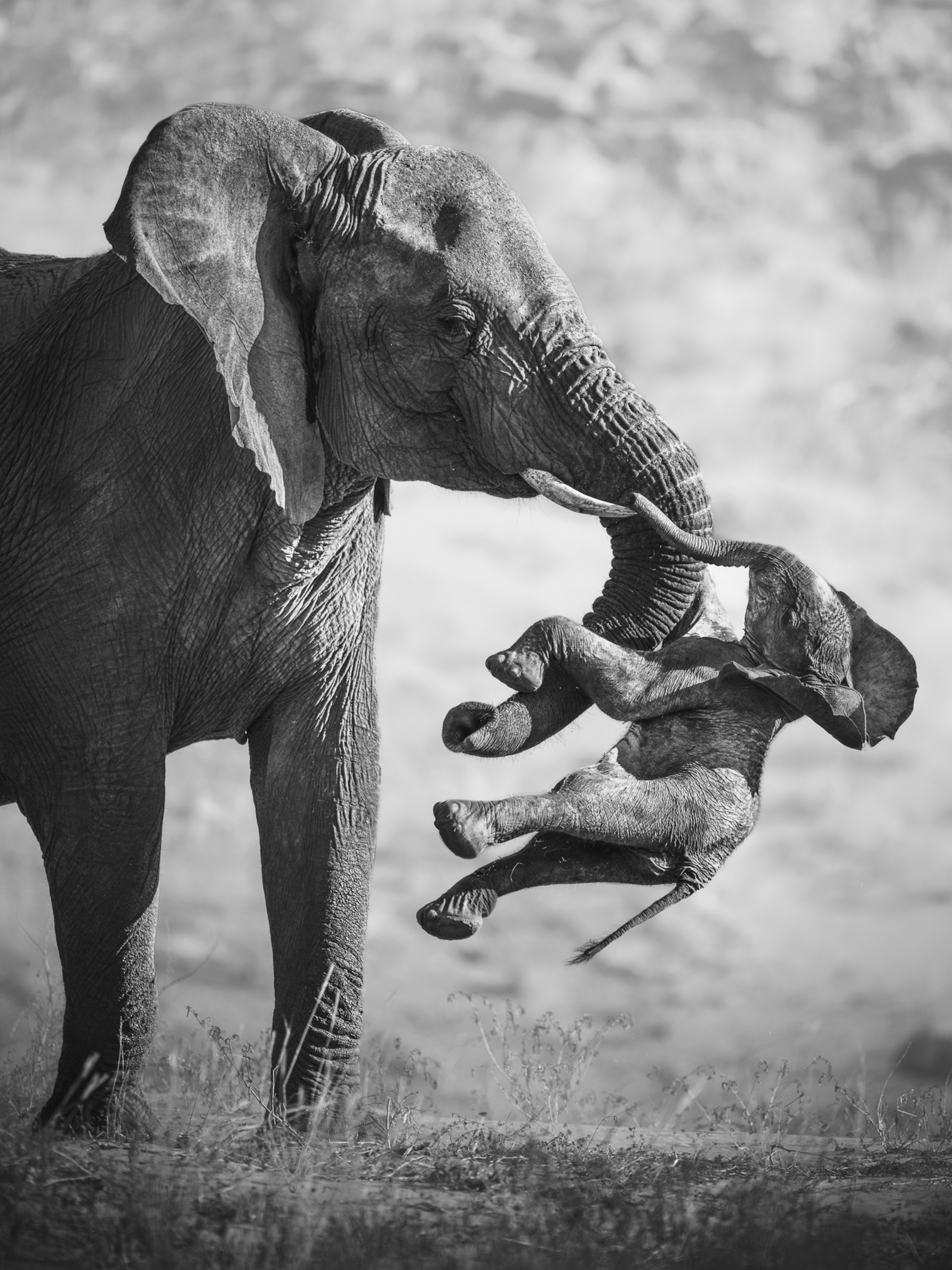 National Geographic