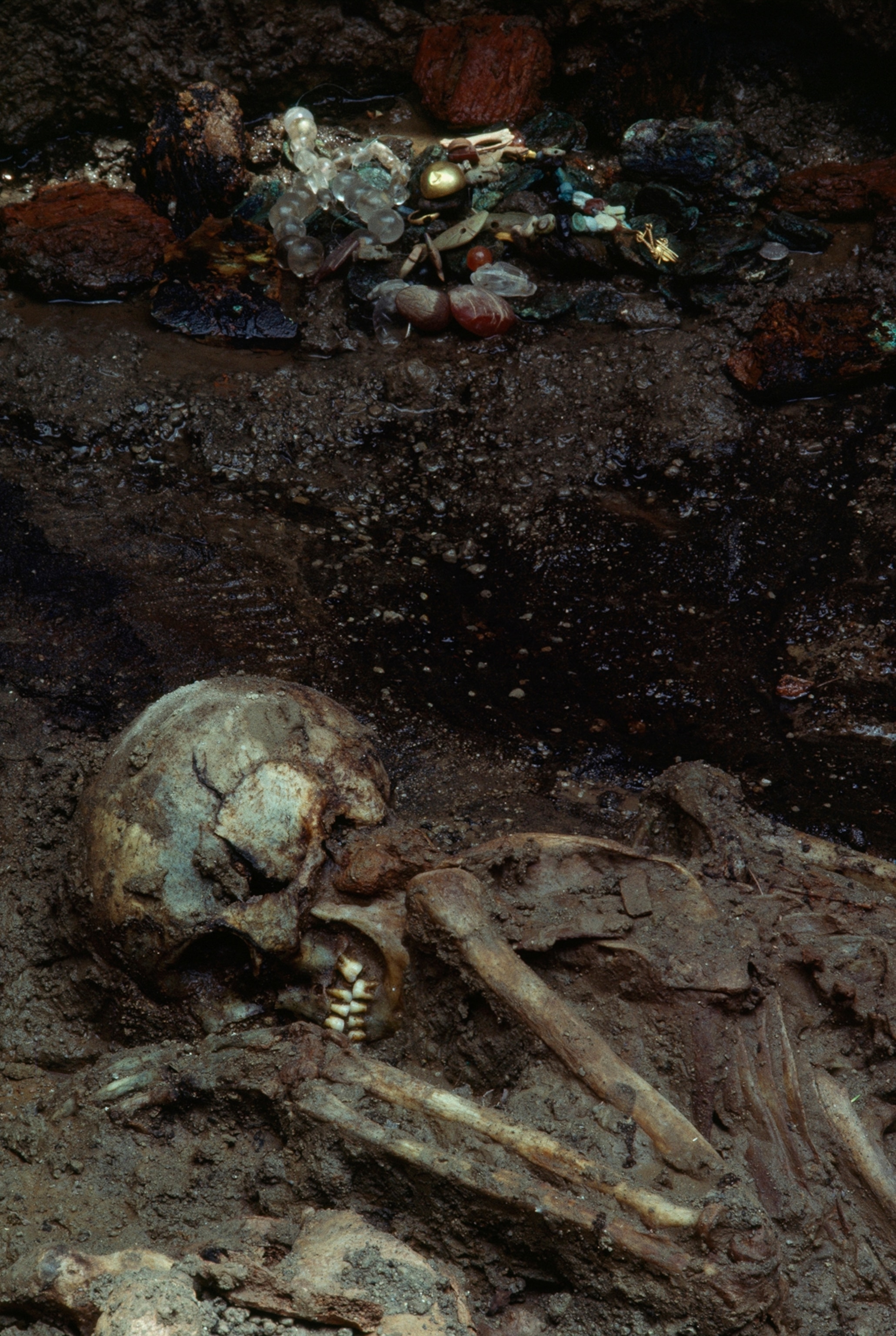 An ancient victim of a volcanic eruption emerges from ash.