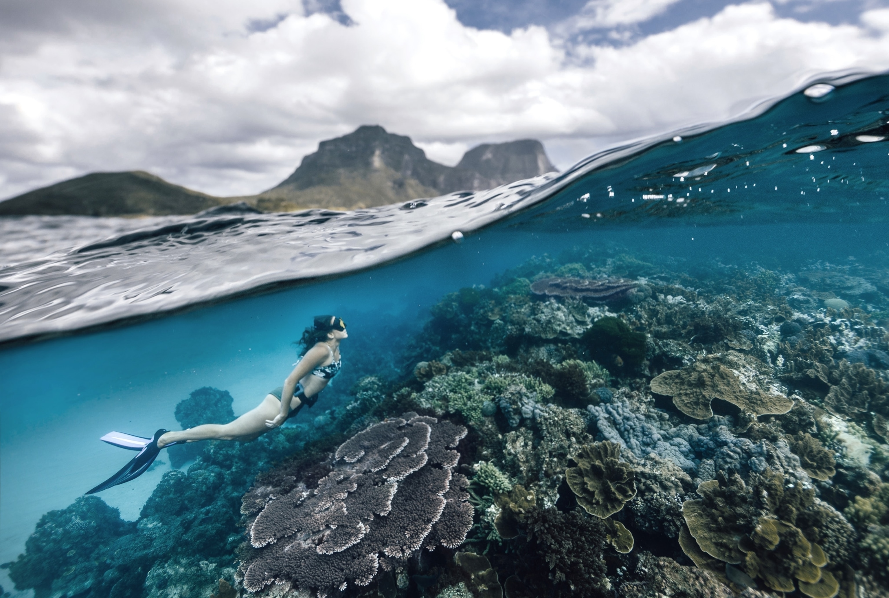 woman swimming in ocean near lord howe island australia