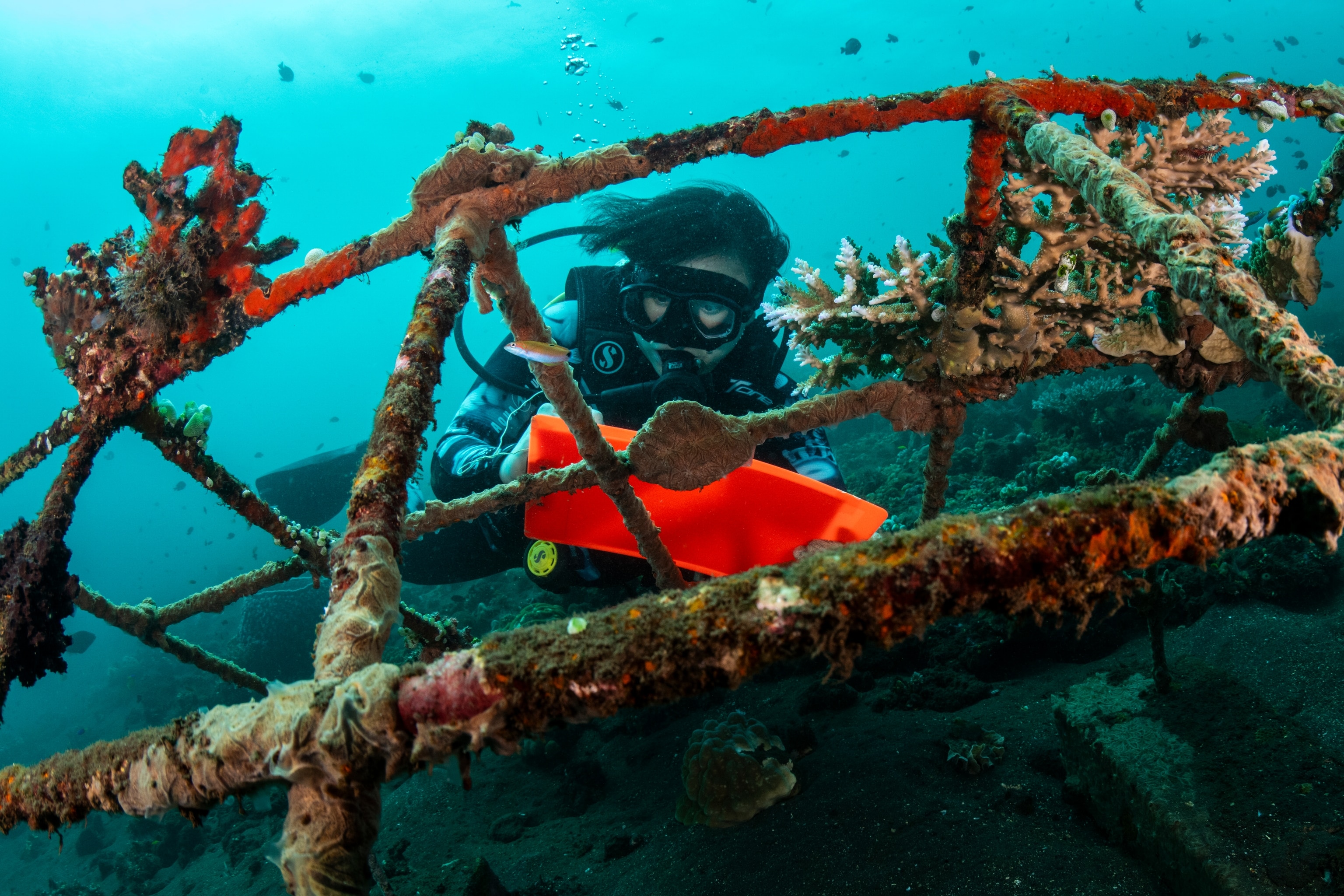 National Geographic Young Explorer Brigitta Gunawan collects data on a diving slate while visiting a coral rehabilitation site off the shore of Tulamben, Bali, Indonesia.