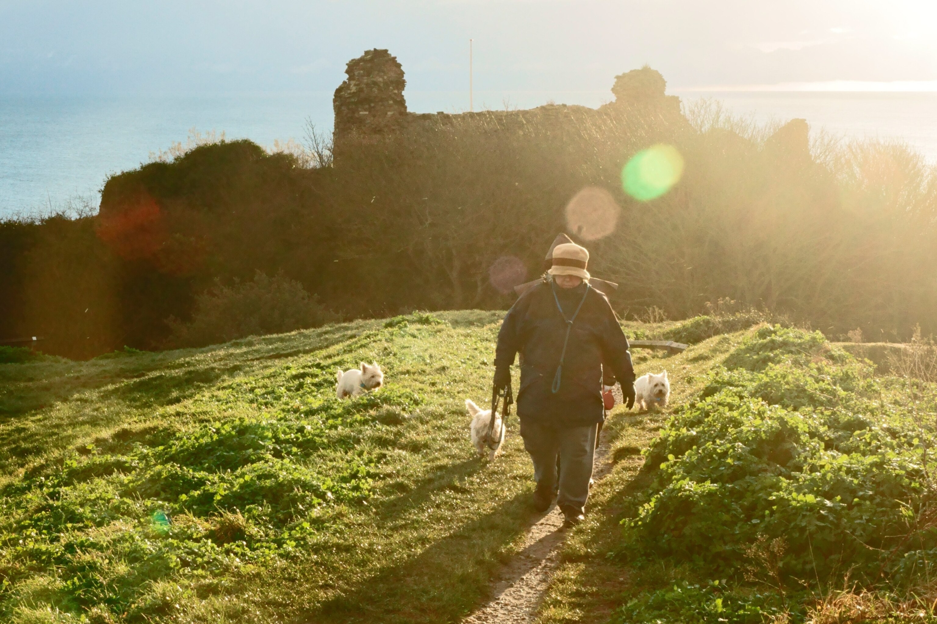 a woman walking her dogs in Hastings England
