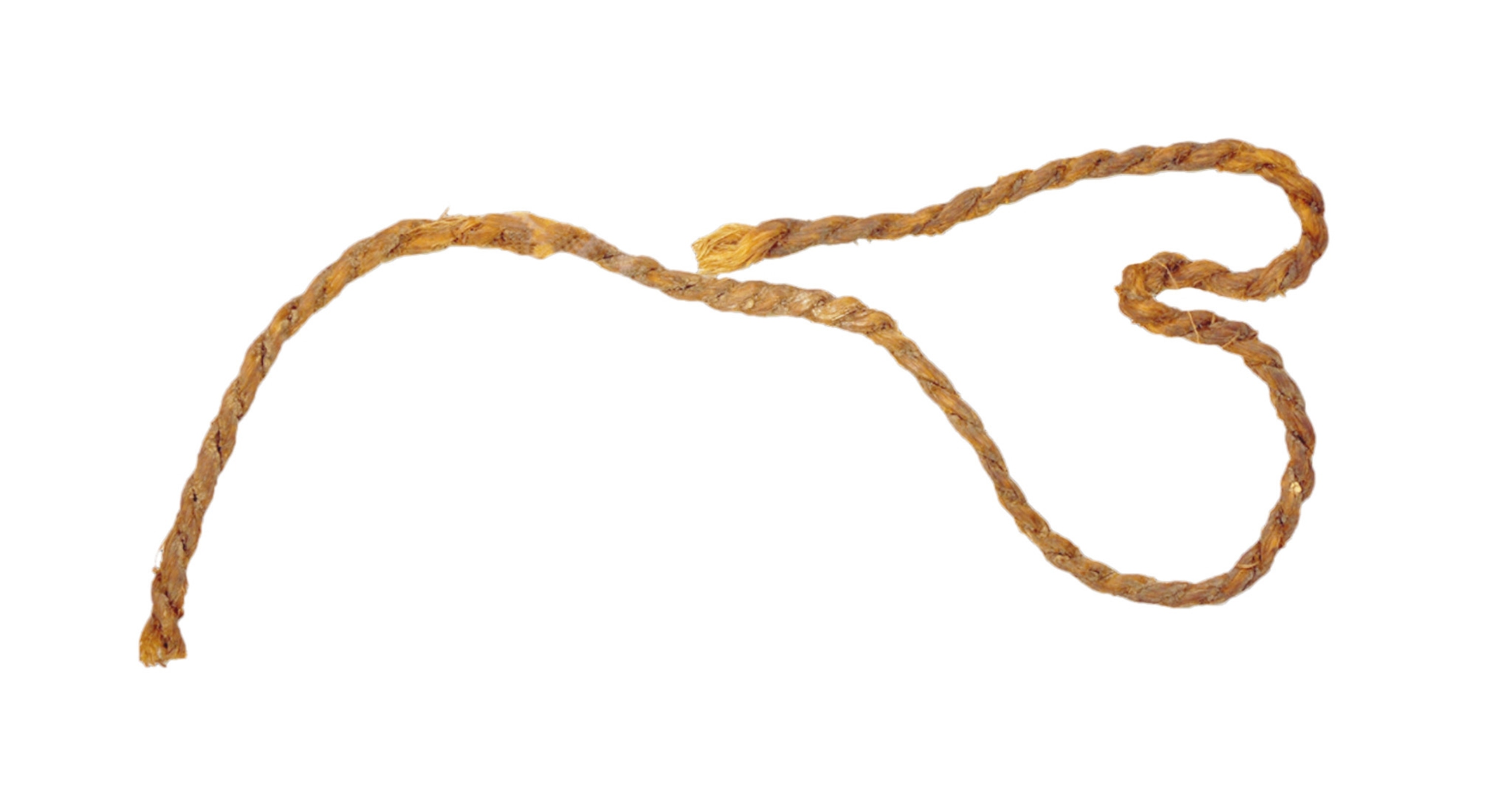 A bowstring containing twisted fibers made mainly of connective animal tissues such as ligaments or tendons.