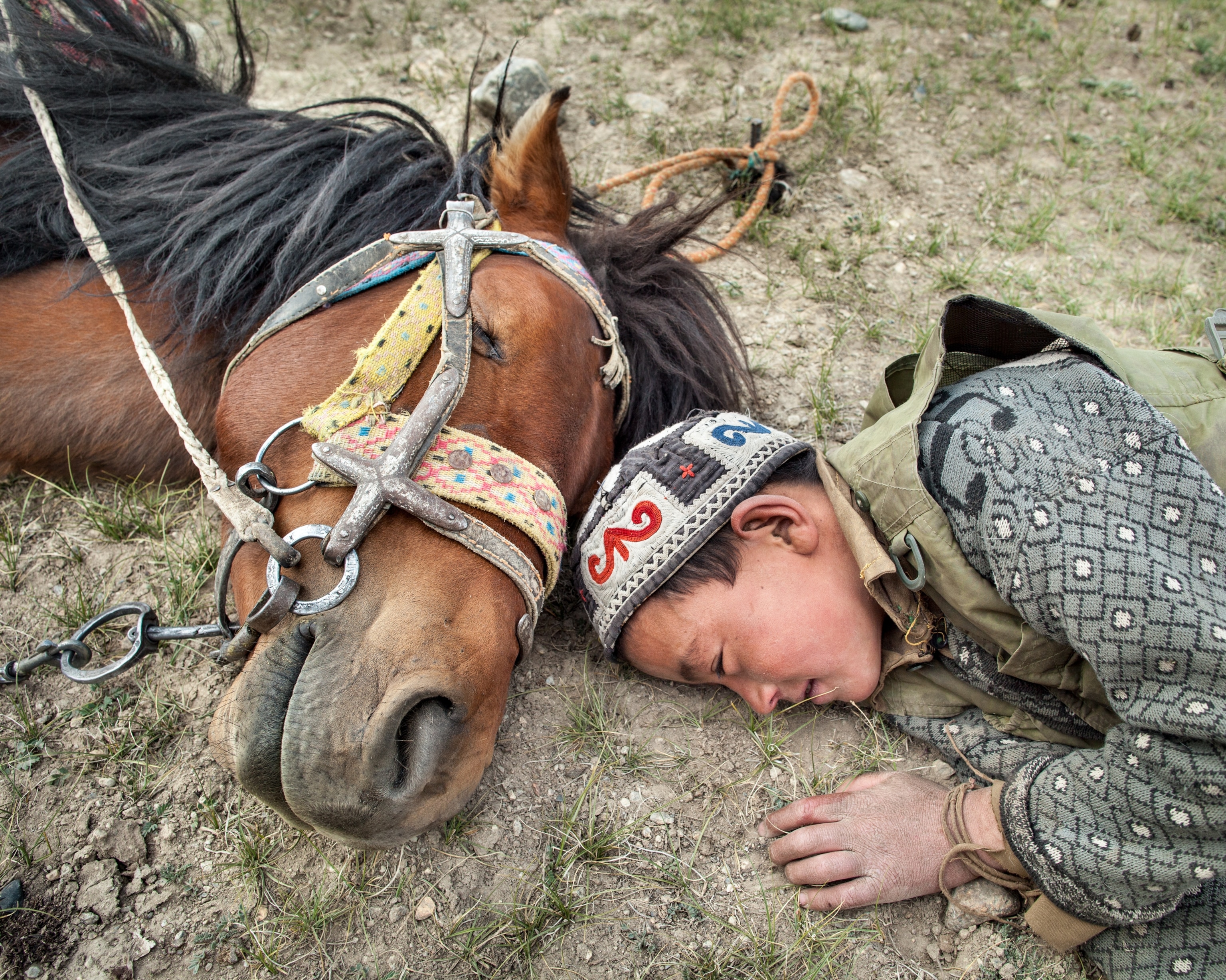 young boy horse Little Pamir