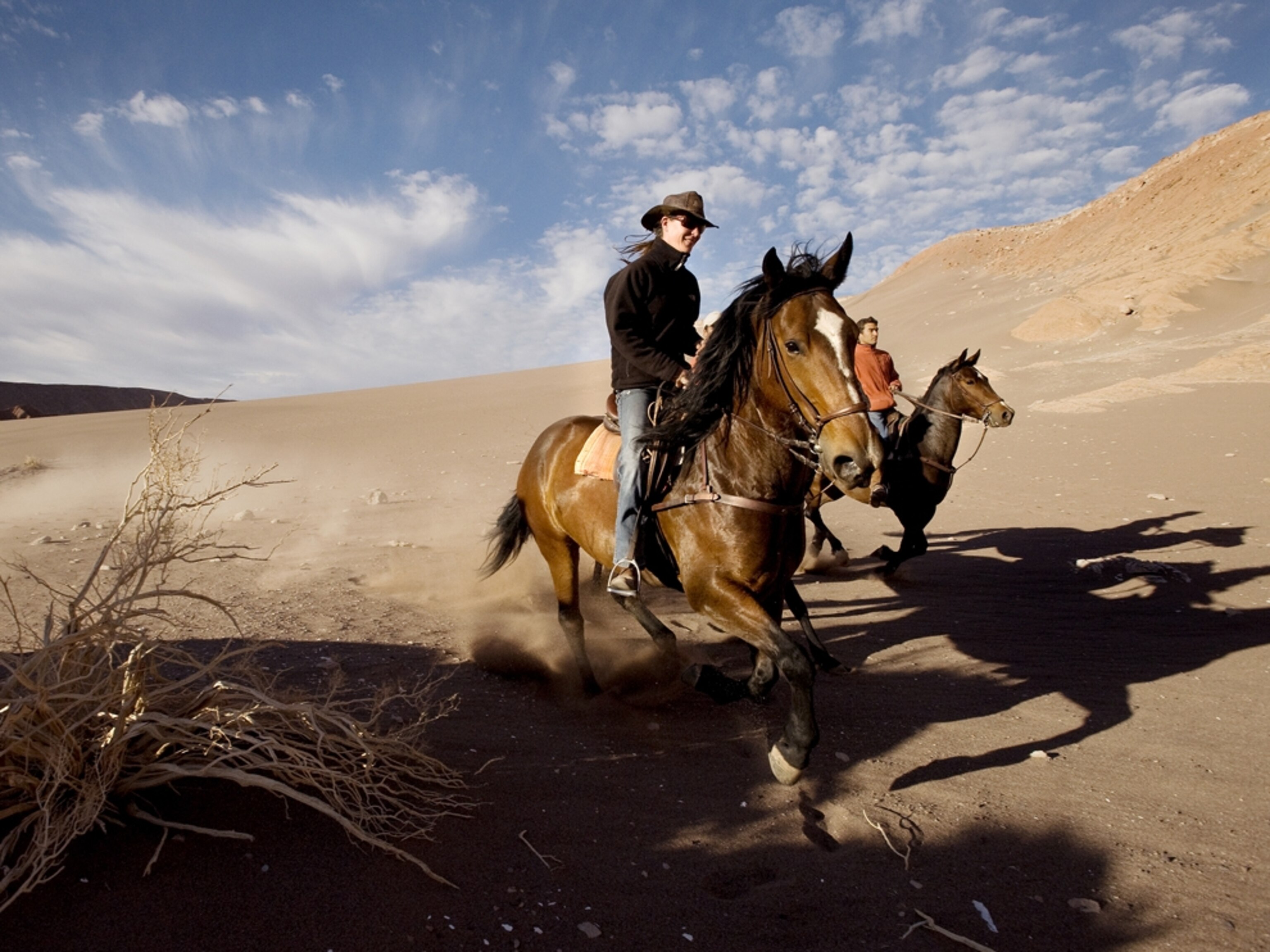 Horses in Hotel de Larache Atacama