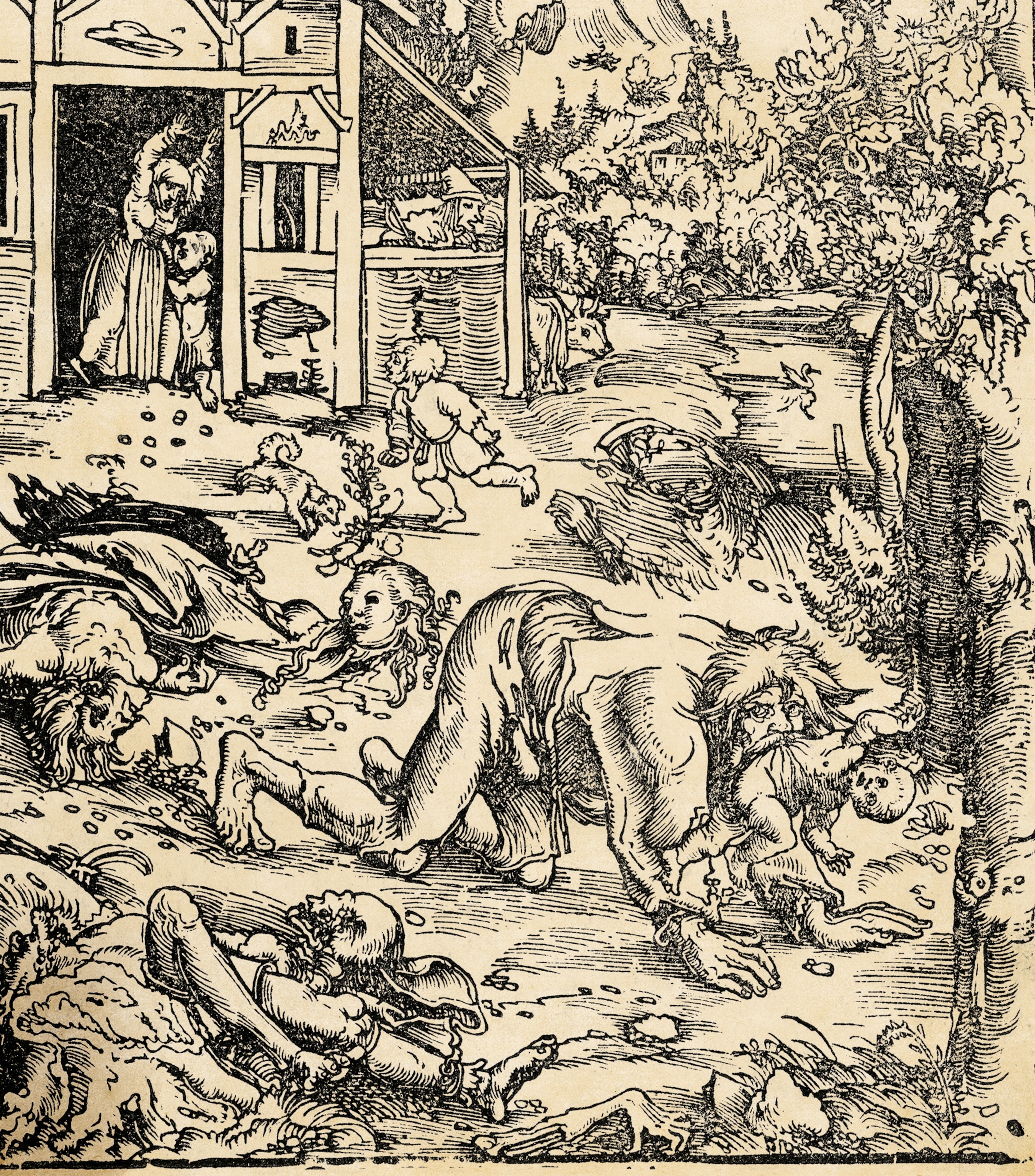 The werewolf, or “The Cannibal,” engraving by Lucas Cranach the Elder presents a horrific vision of werewolf-induced carnage.