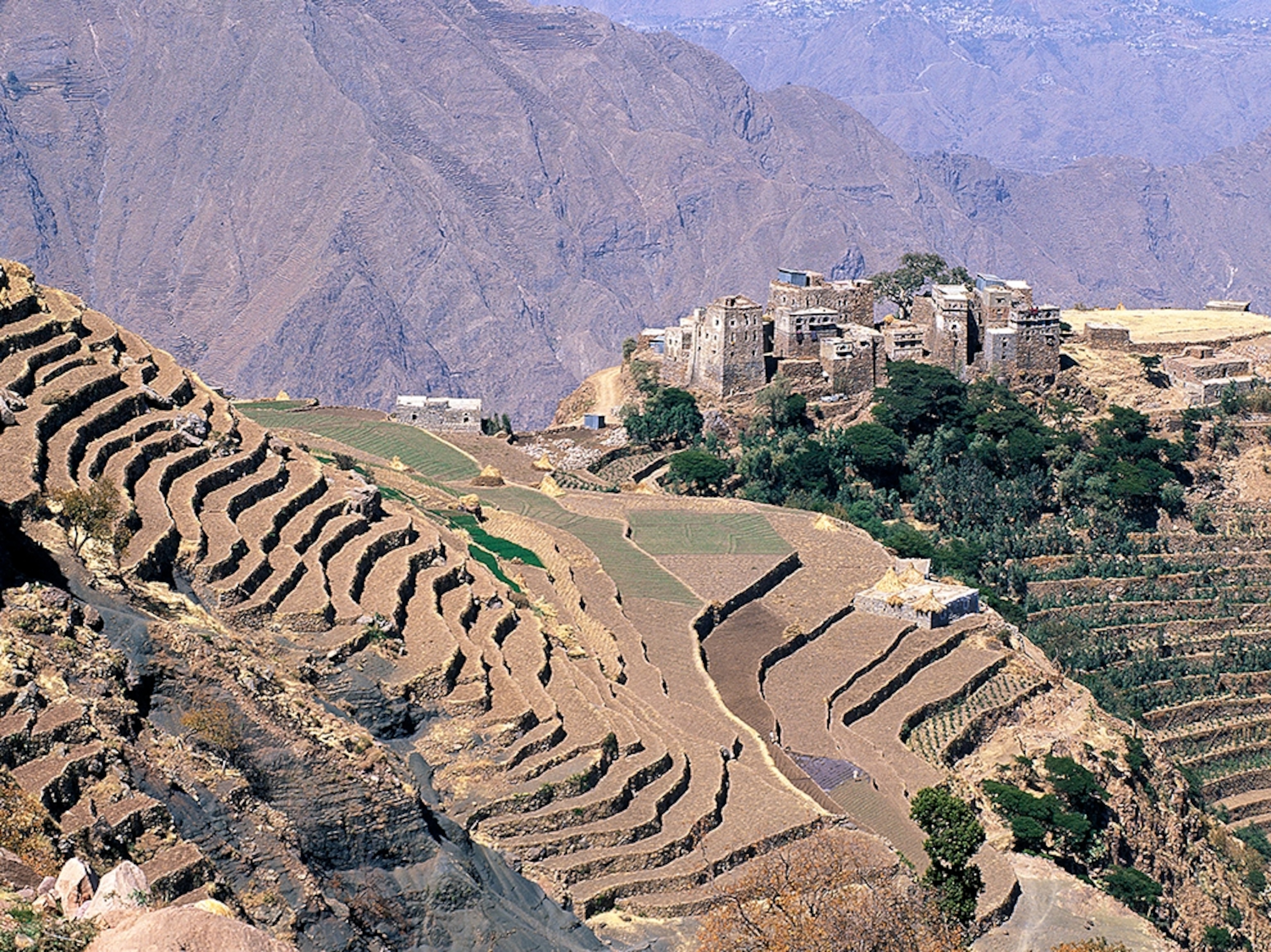 the Jabal Maswar terraces